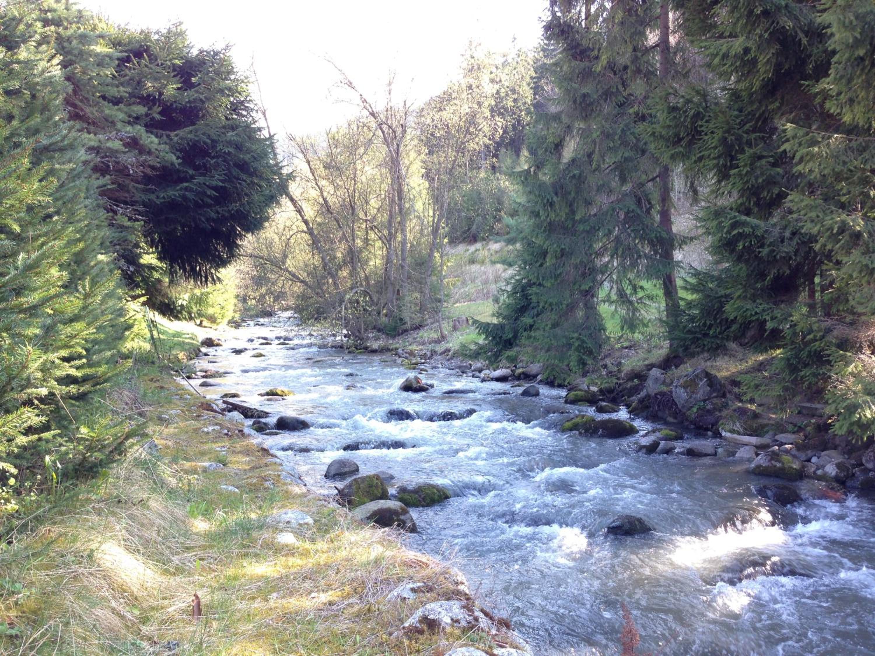 Photo 32