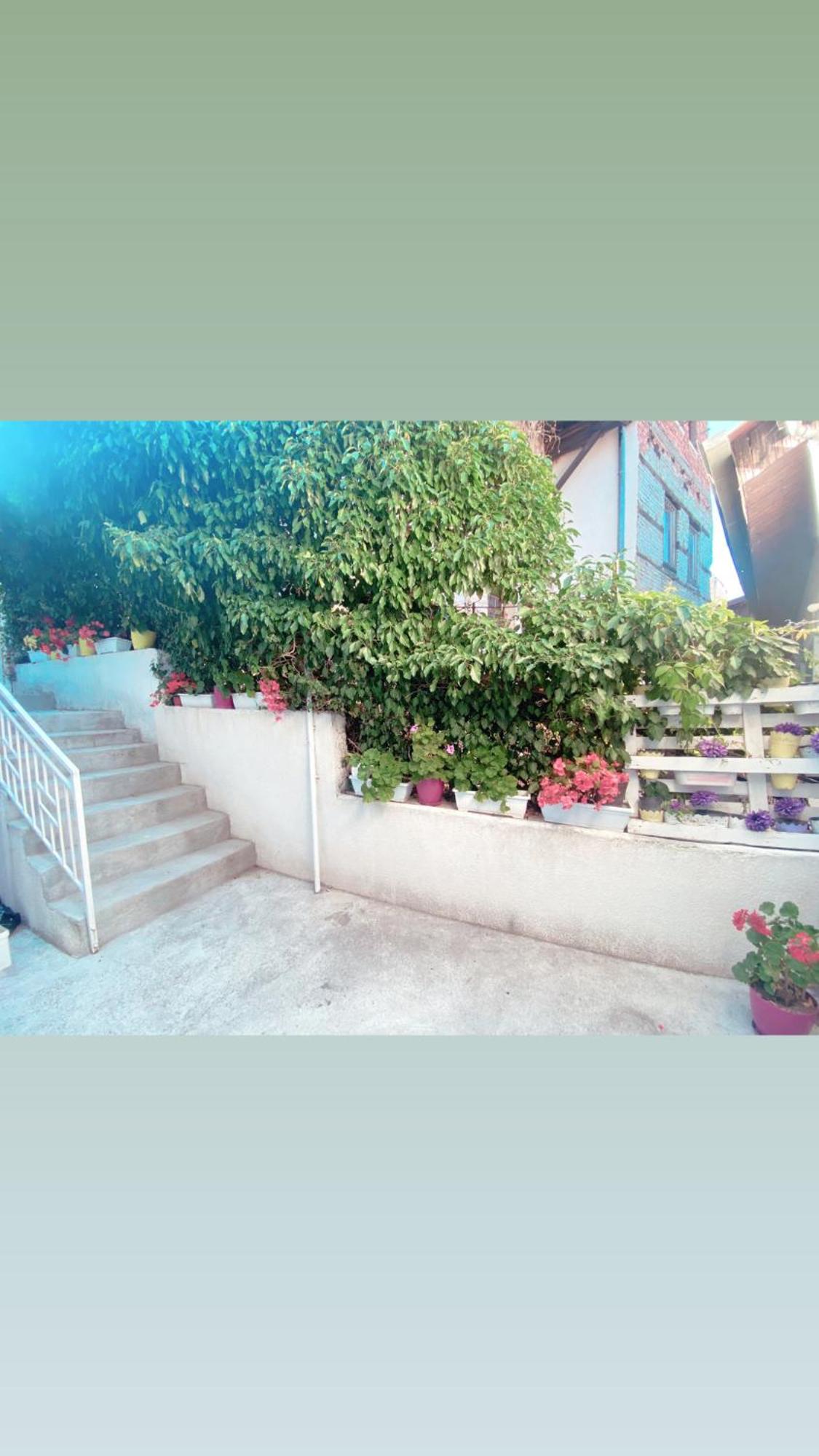 Galeb Apartment Ohrid