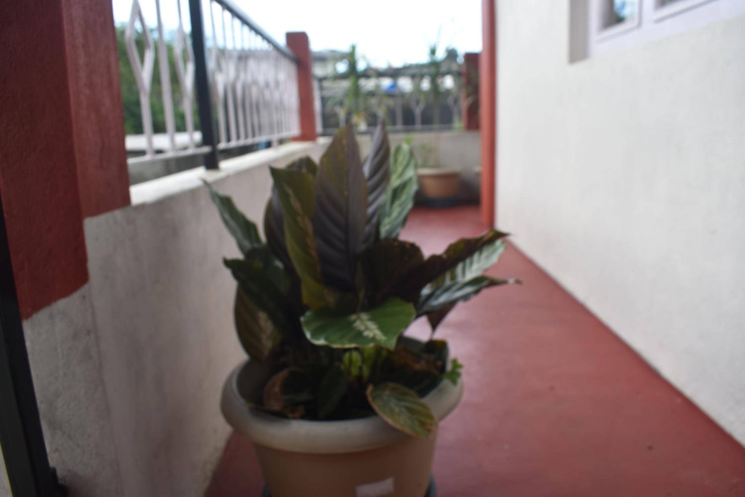 Photo 35