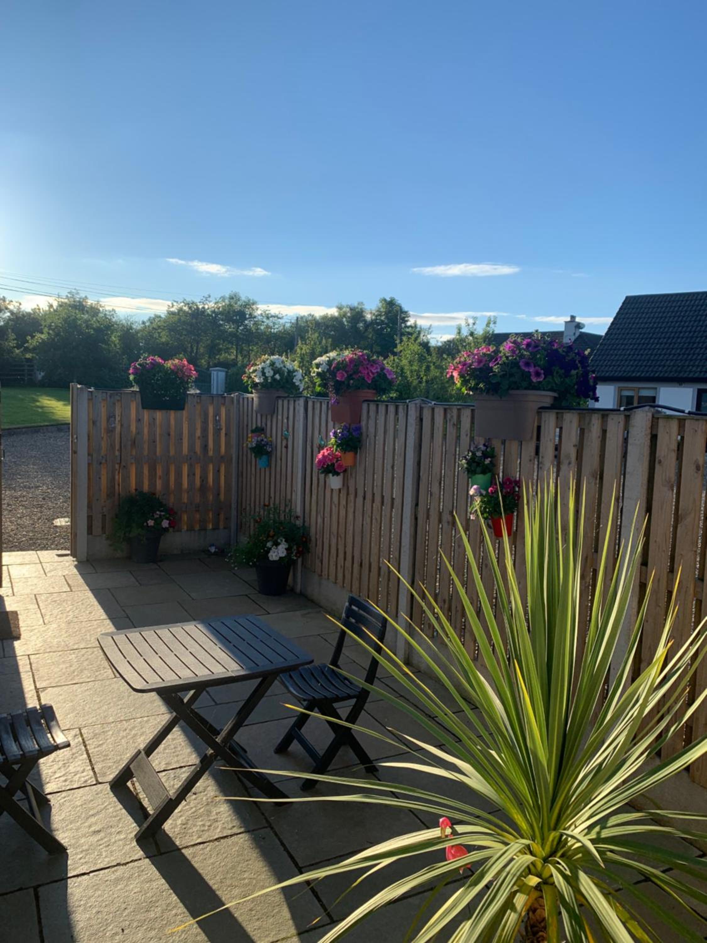 Oak Trees Corner stylish , relaxing , getaway