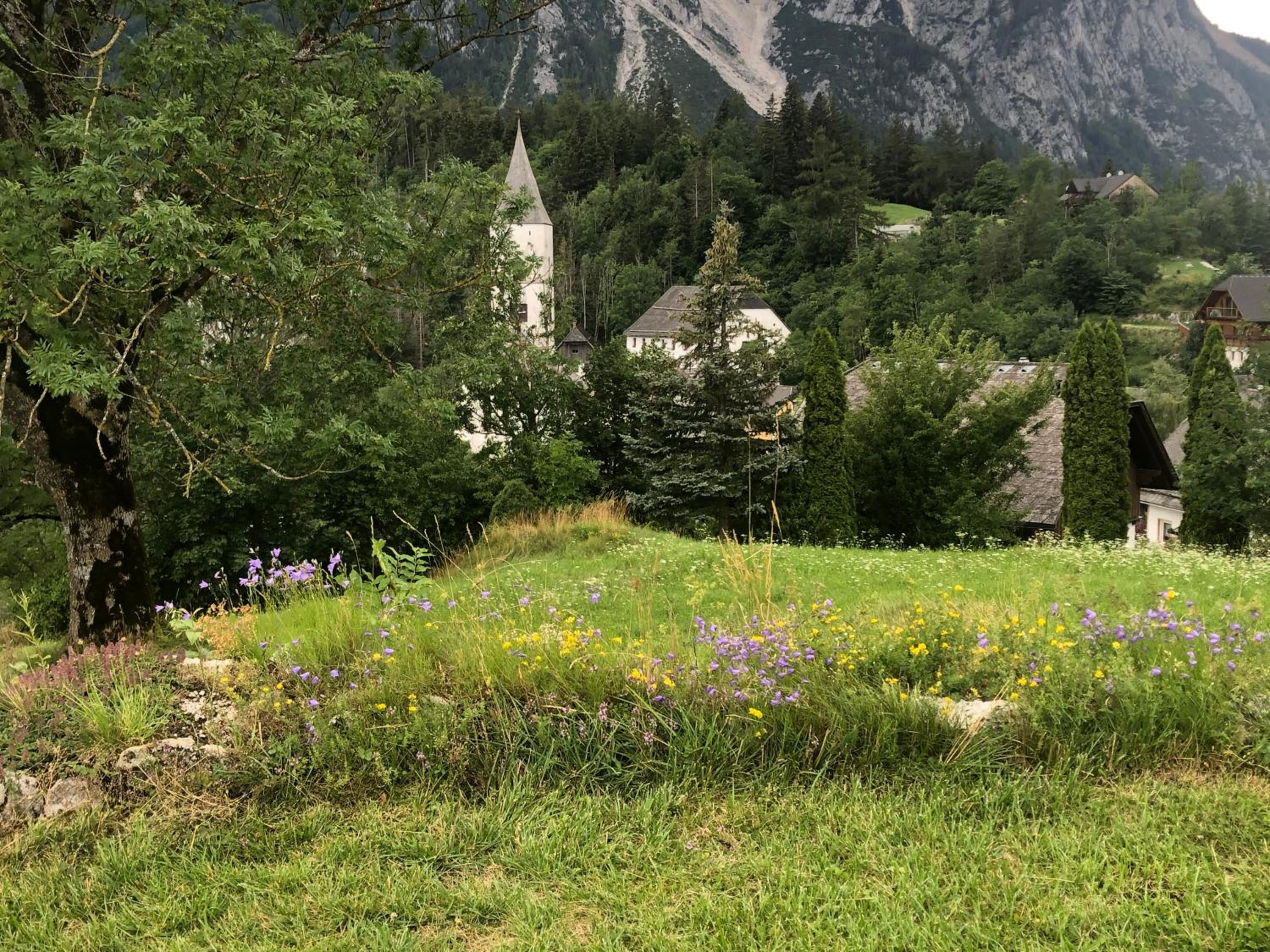 Appartment Christine Bad Aussee