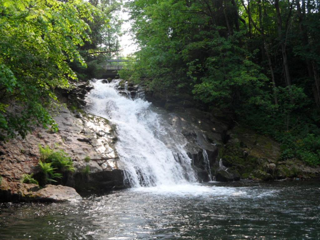 Photo 24