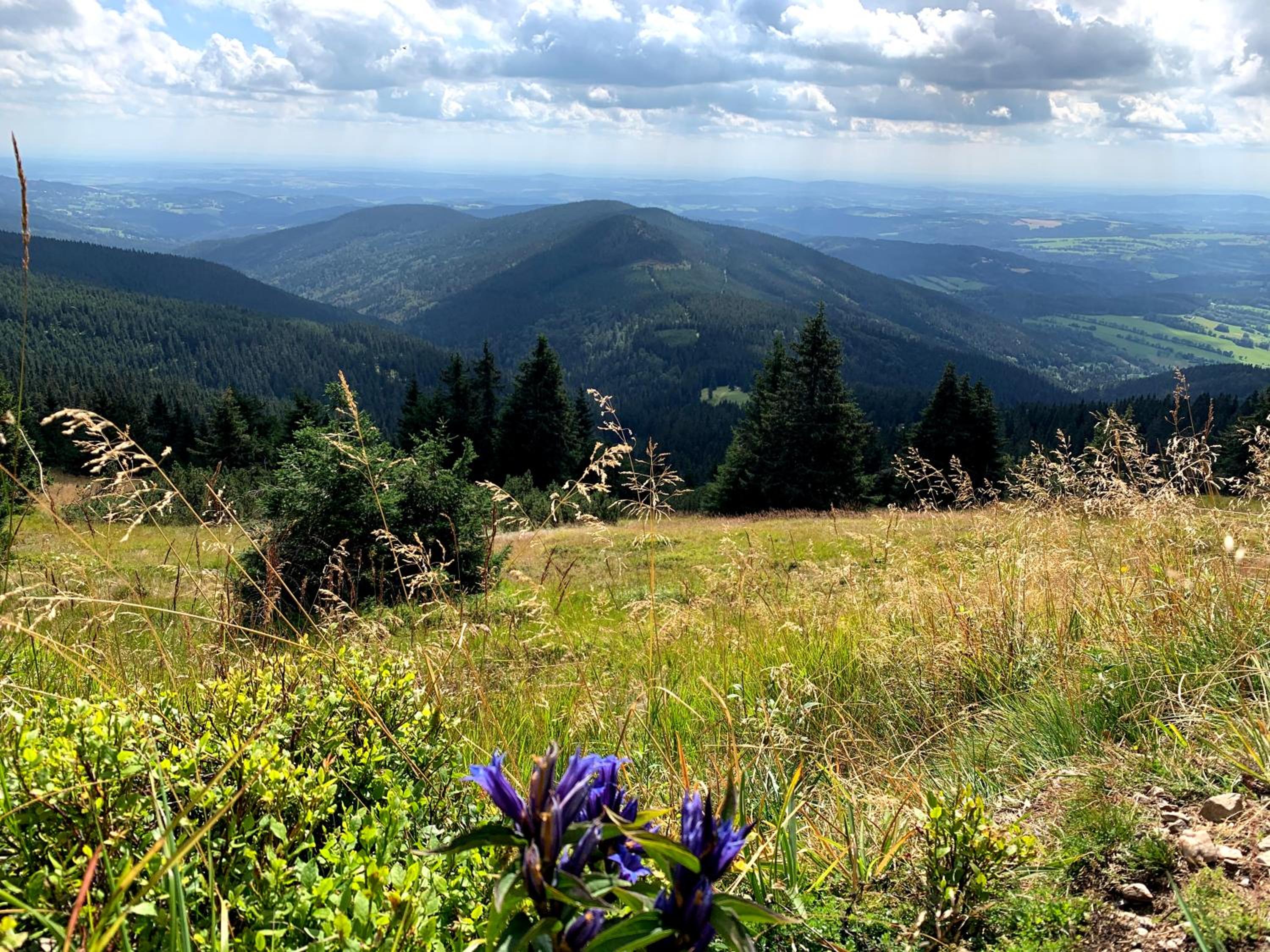 Apartmány stare-hory Krkonoše