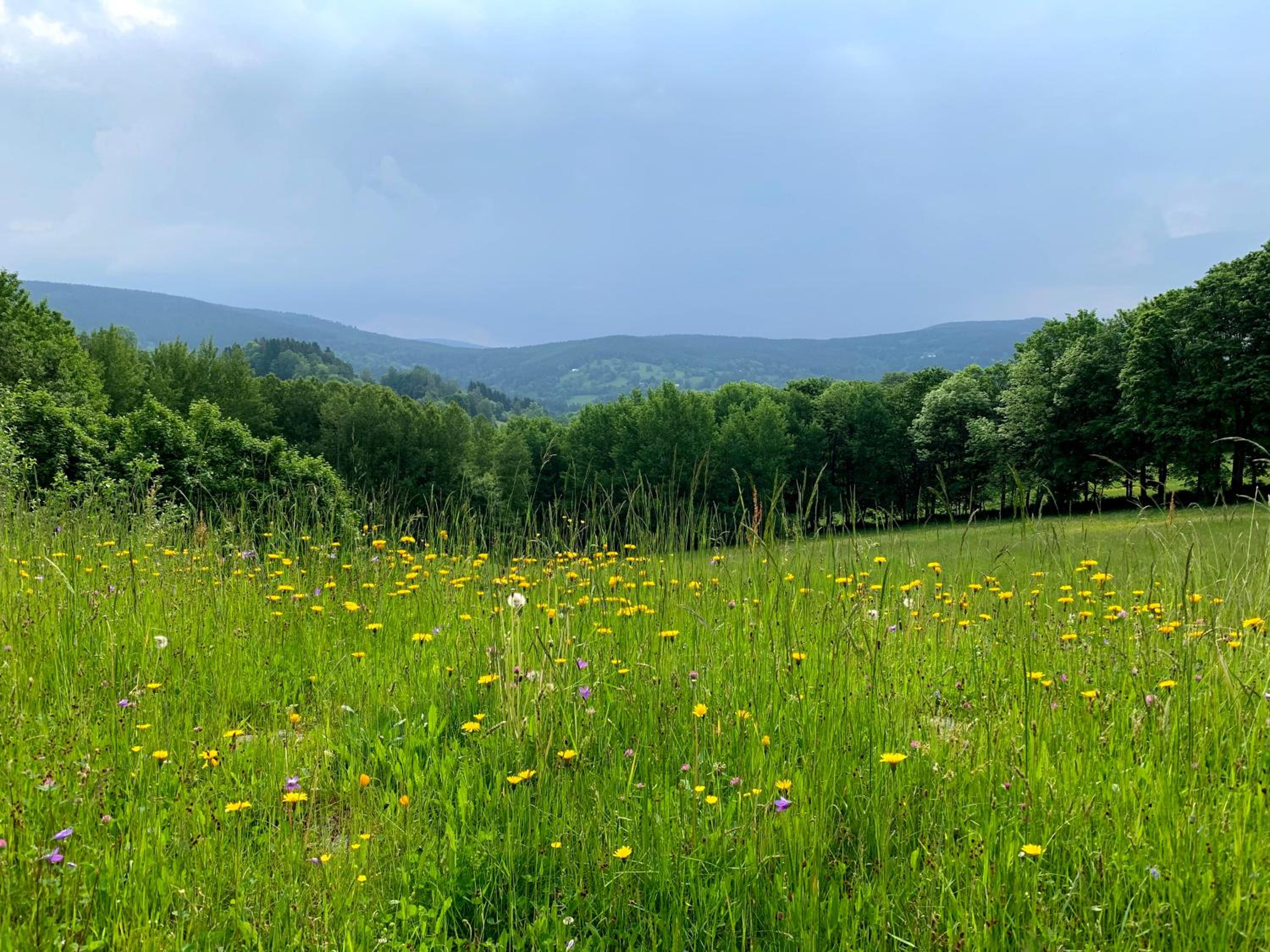 Apartmány stare-hory Krkonoše