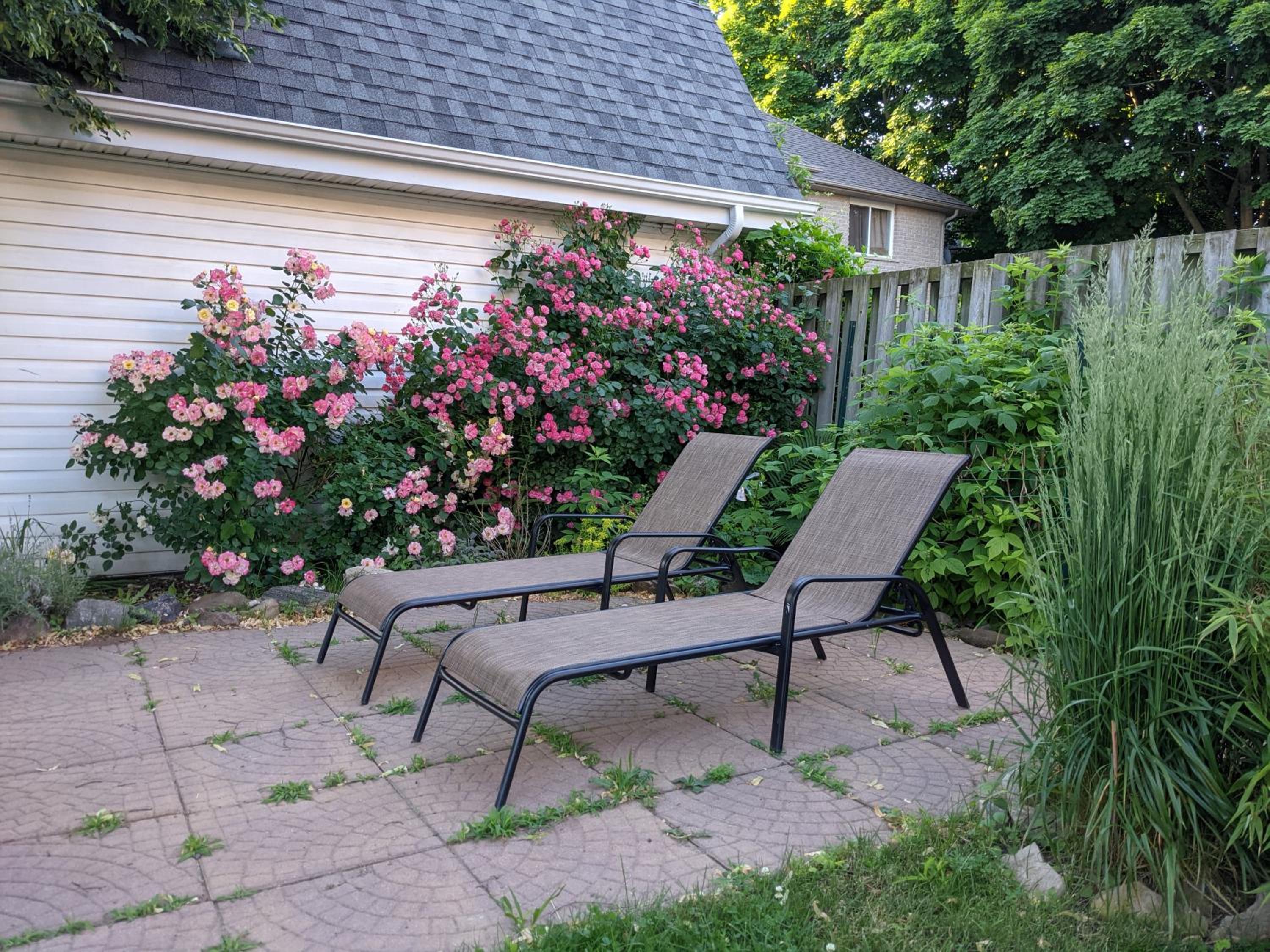 Garden 2 Storey House