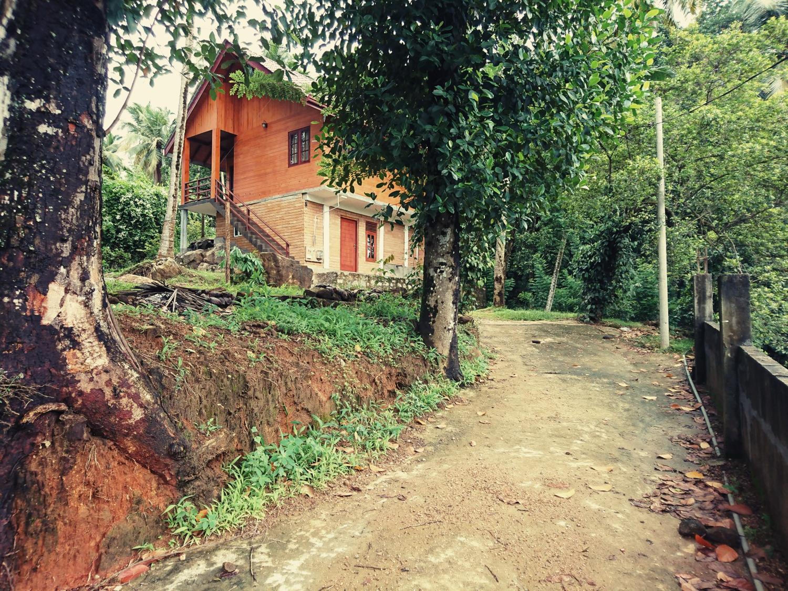 Photo 18