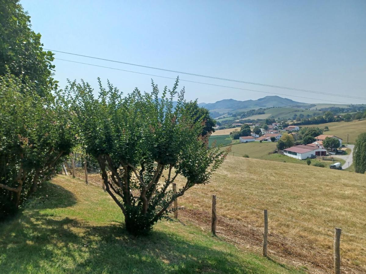 Monic view 4