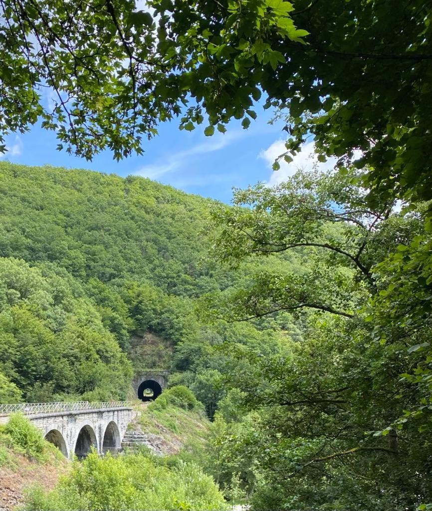 COCOONING near DINANT 300m from River Meuse