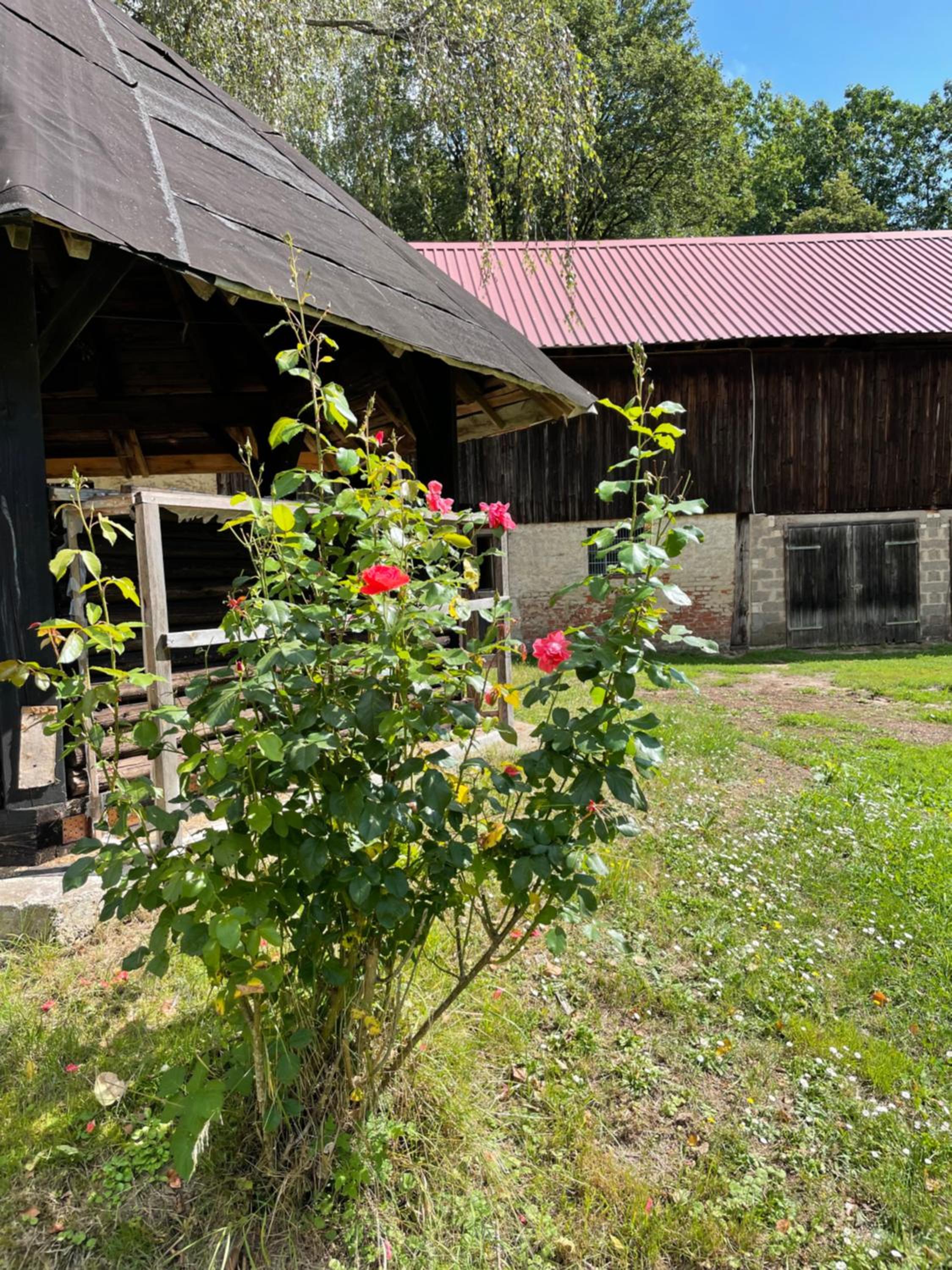 Schellnhof Forsthaus am Waldrand