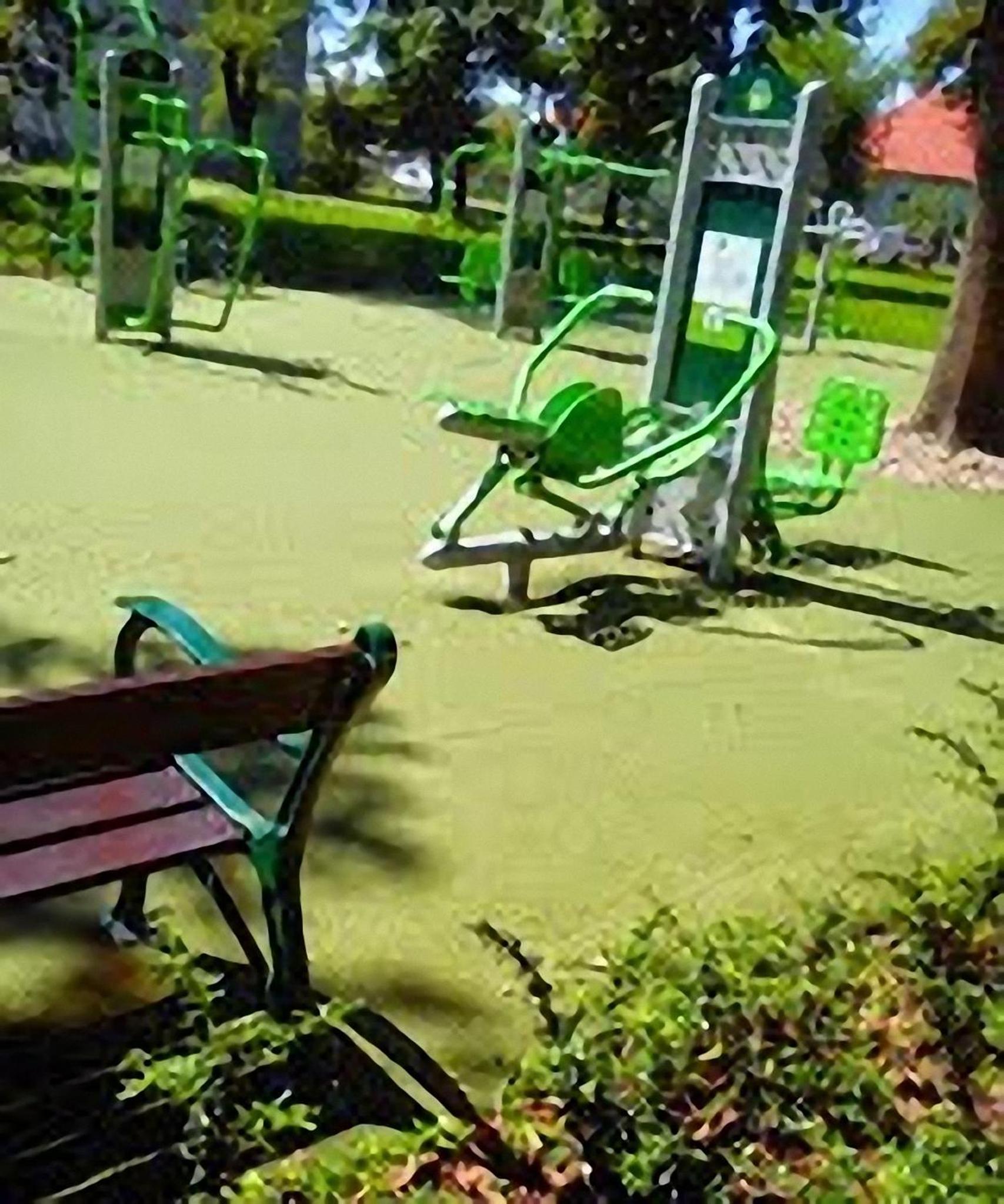 Photo 11