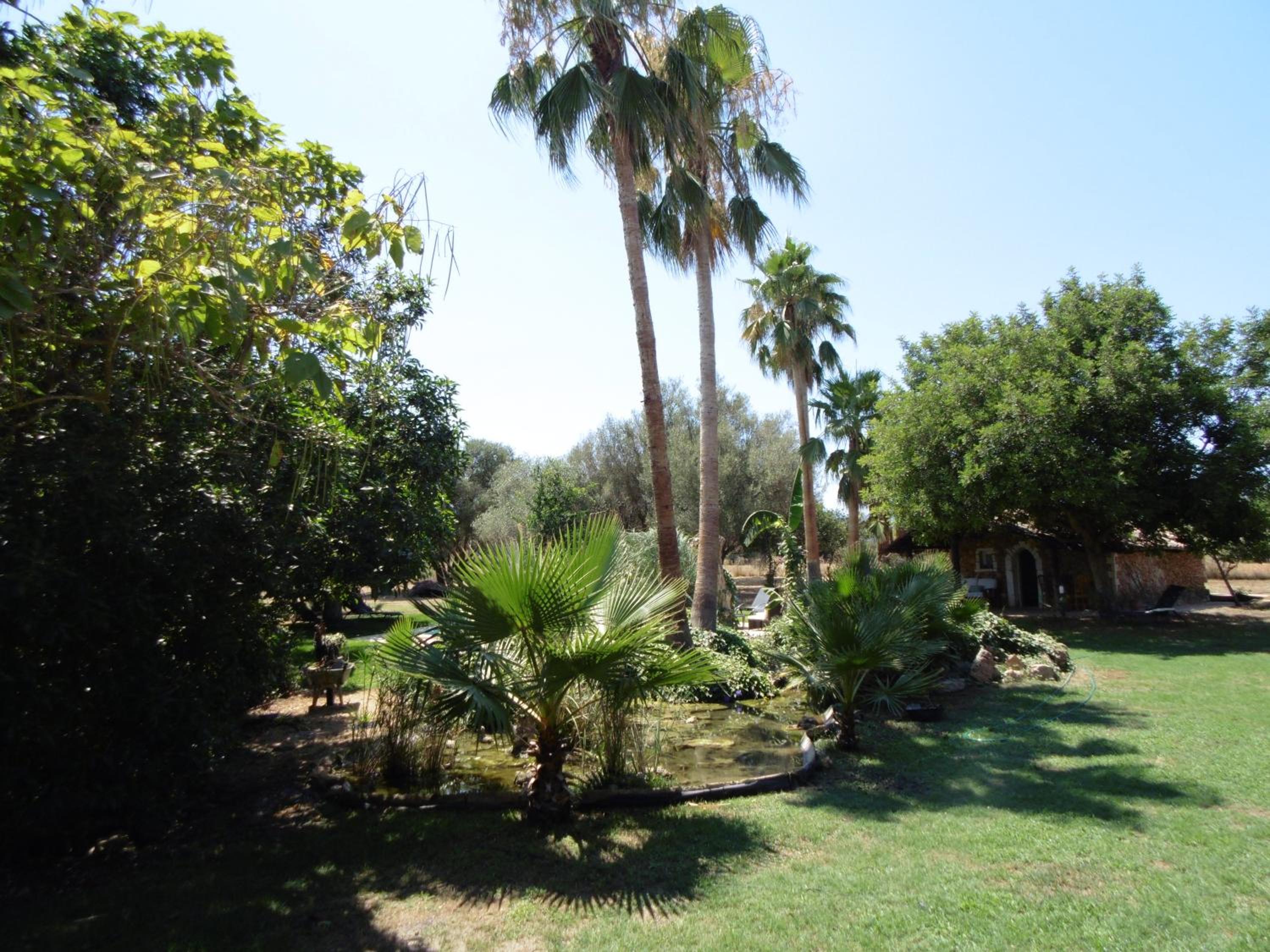 Photo 27