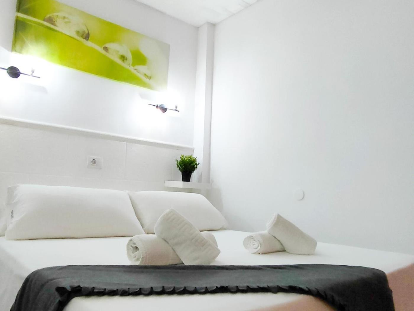 Nomadic Friendly holiday home