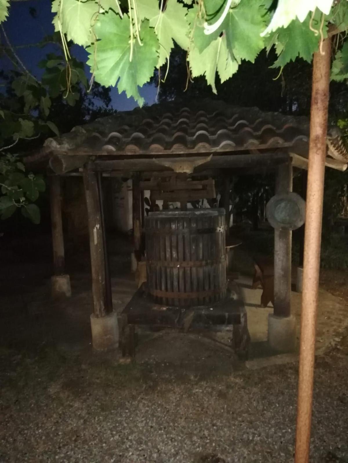 L' Agrumeto view 3