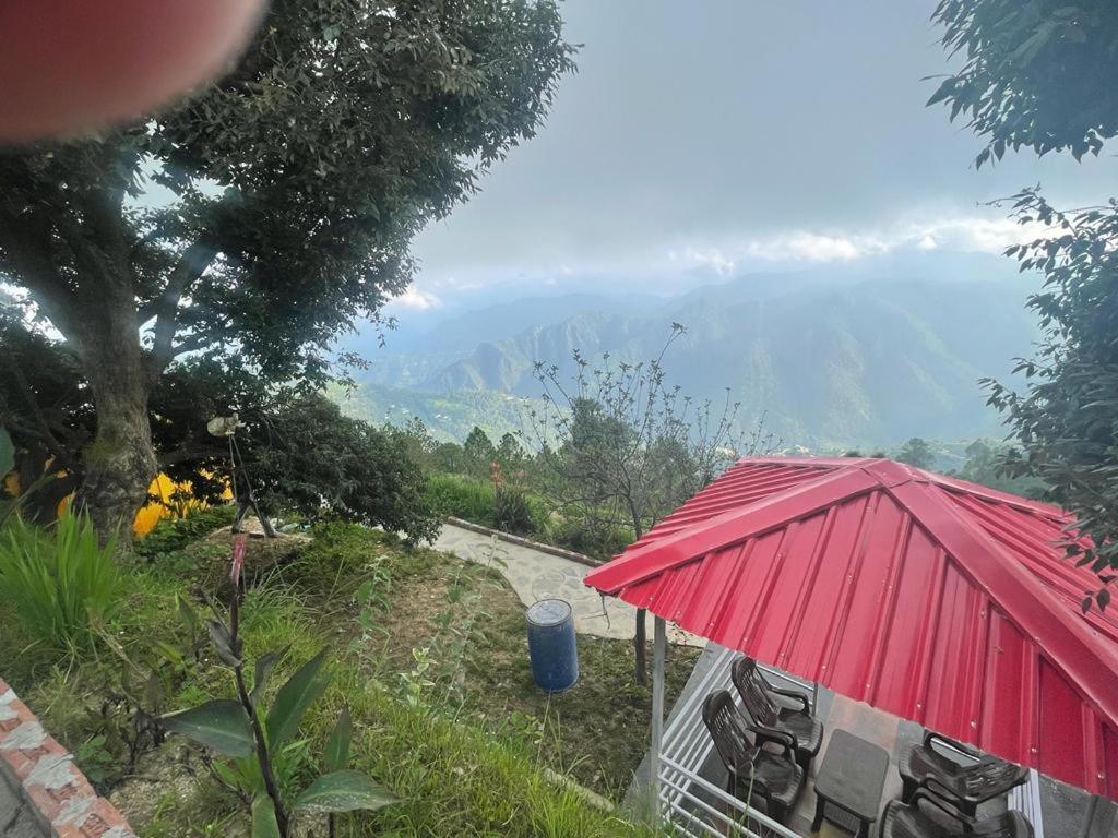 Photo 22