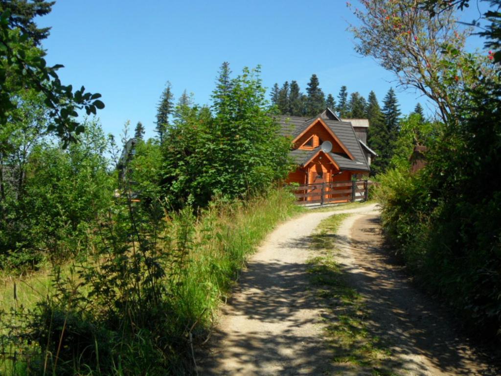 Photo 29