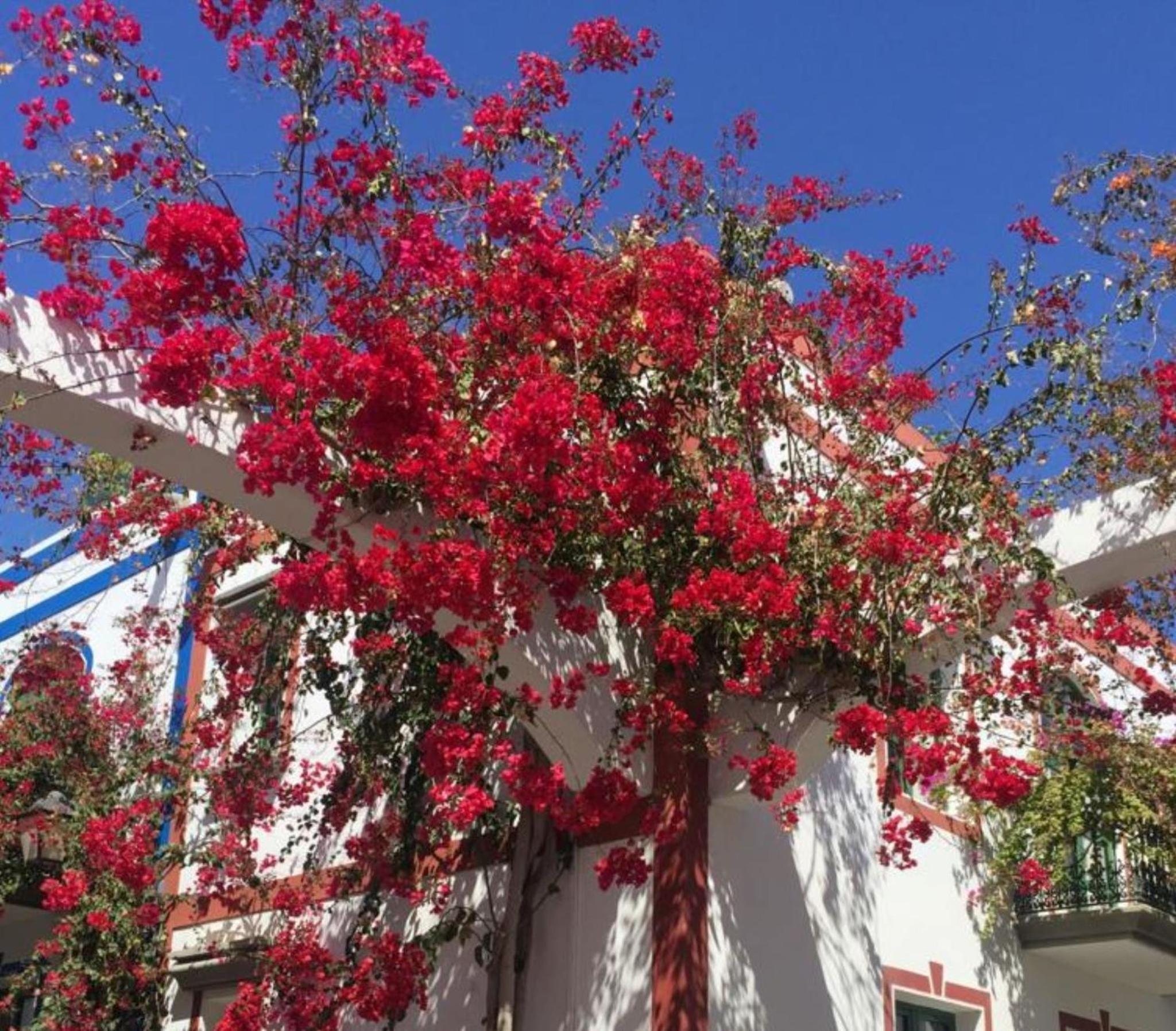Charming 1 Bedroom Apartment in Puerto de Mogn