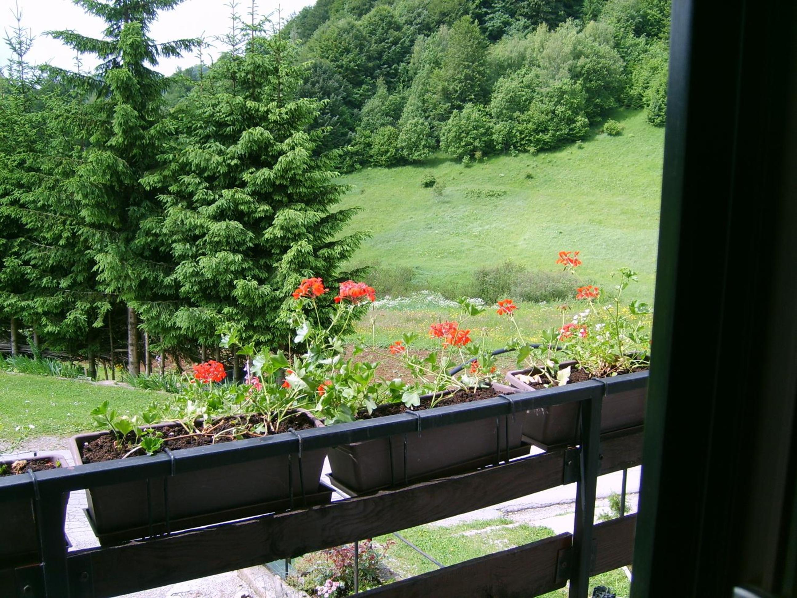 Photo 28