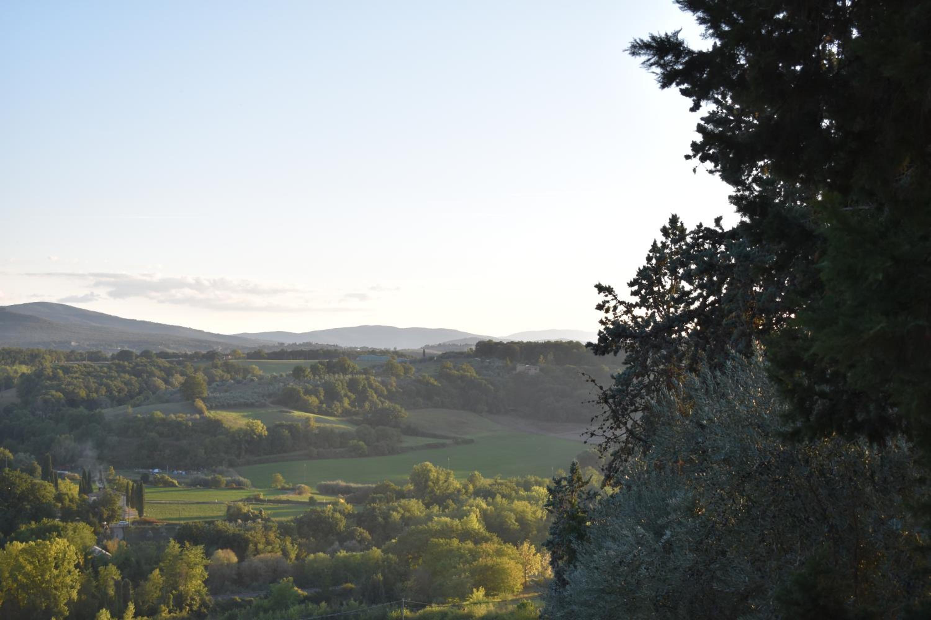 Villa Vianci RBO, your home away in Tuscany