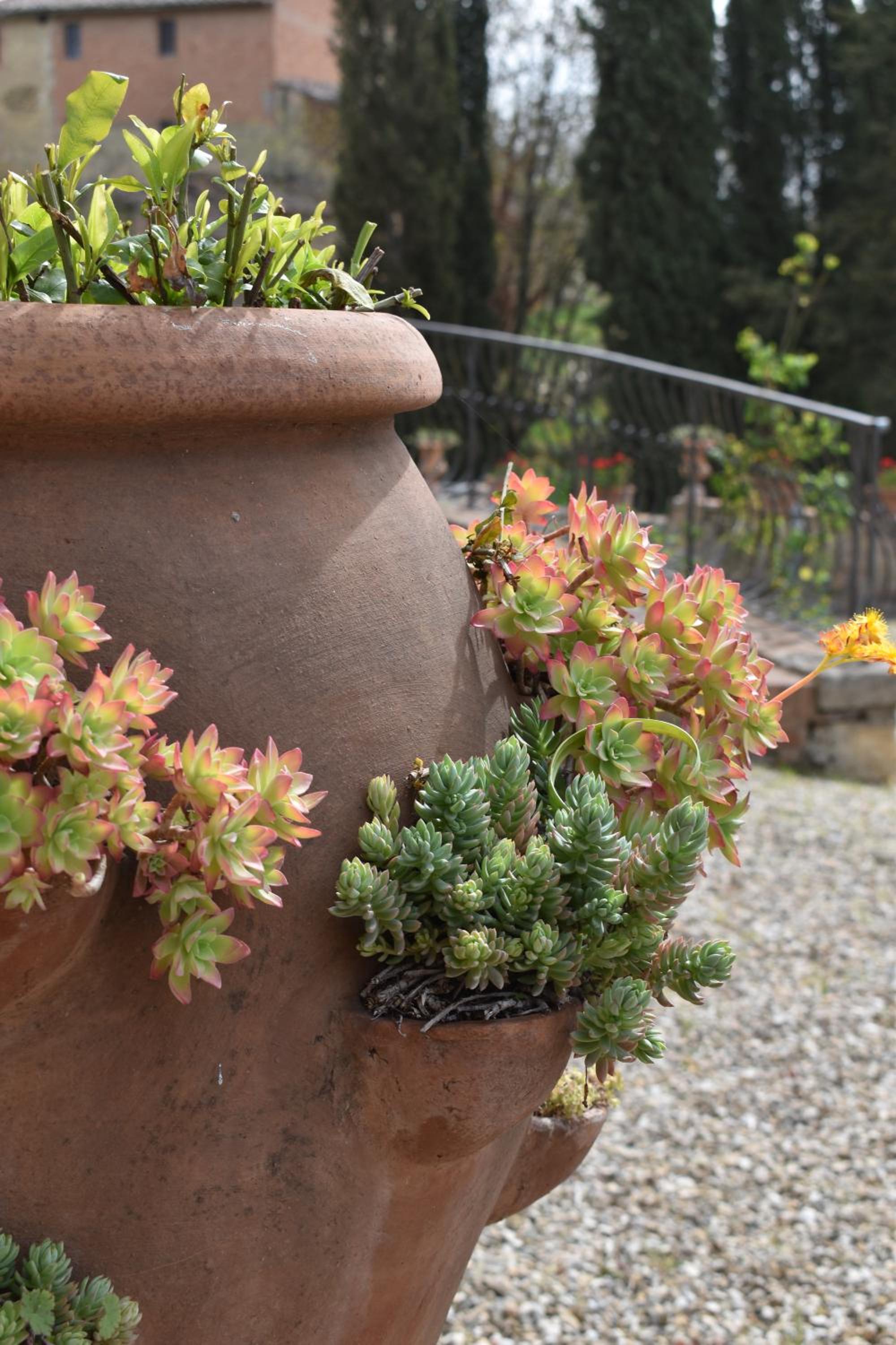Villa Vianci RBO, your home away in Tuscany