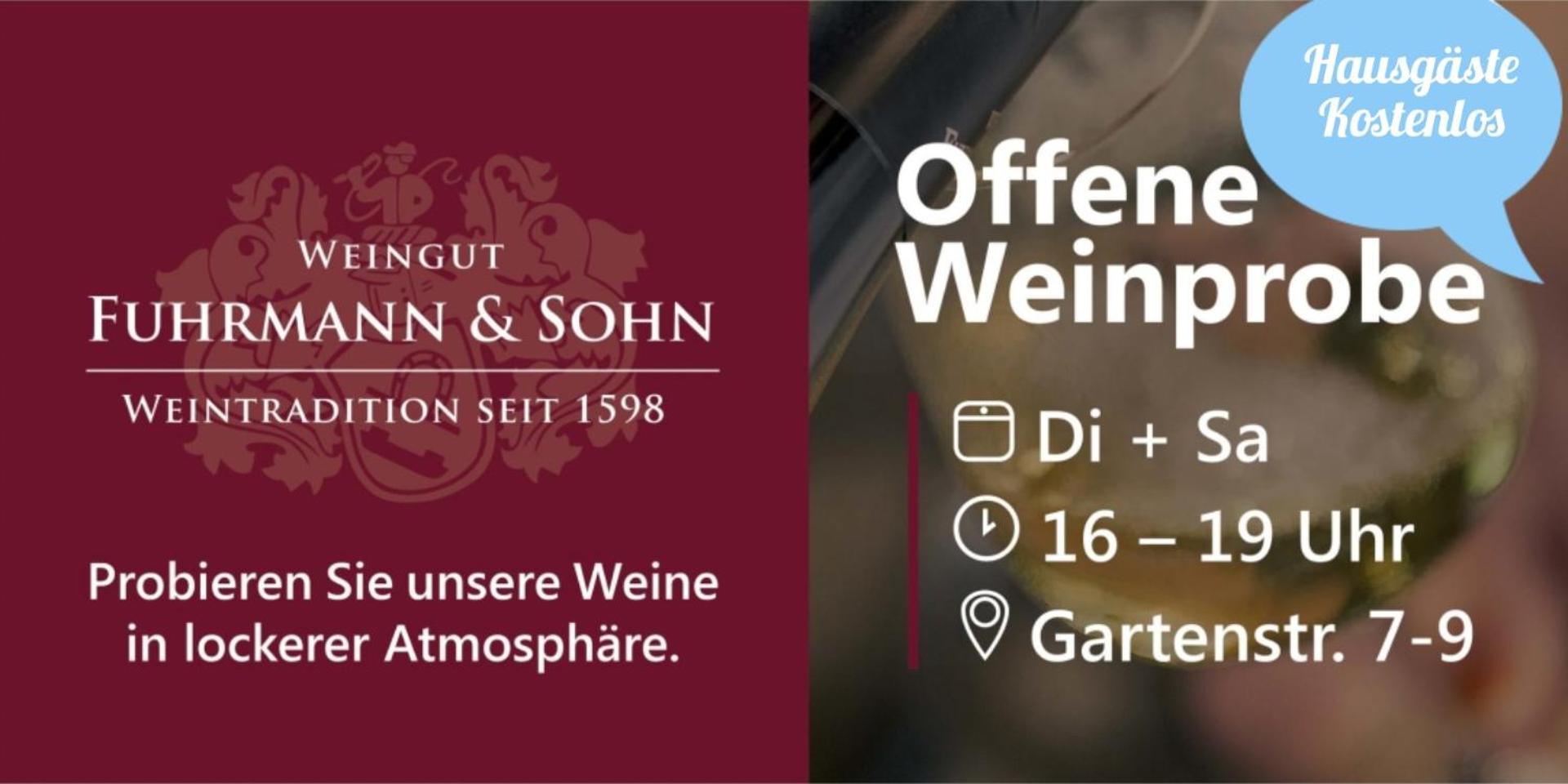 Ferienweingut Arnold Fuhrmann & Sohn view 5