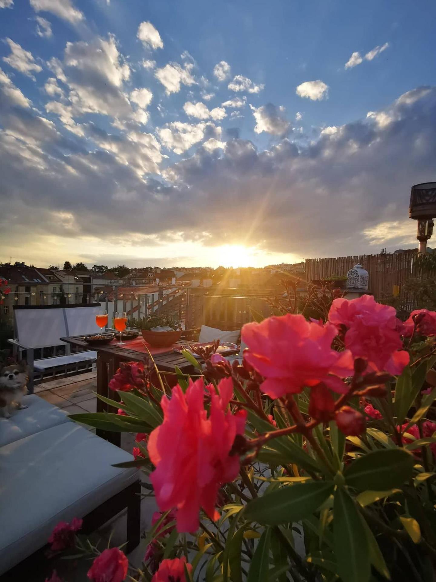 Lux Duplex rooftop loft with an amazing terrace & home cinema