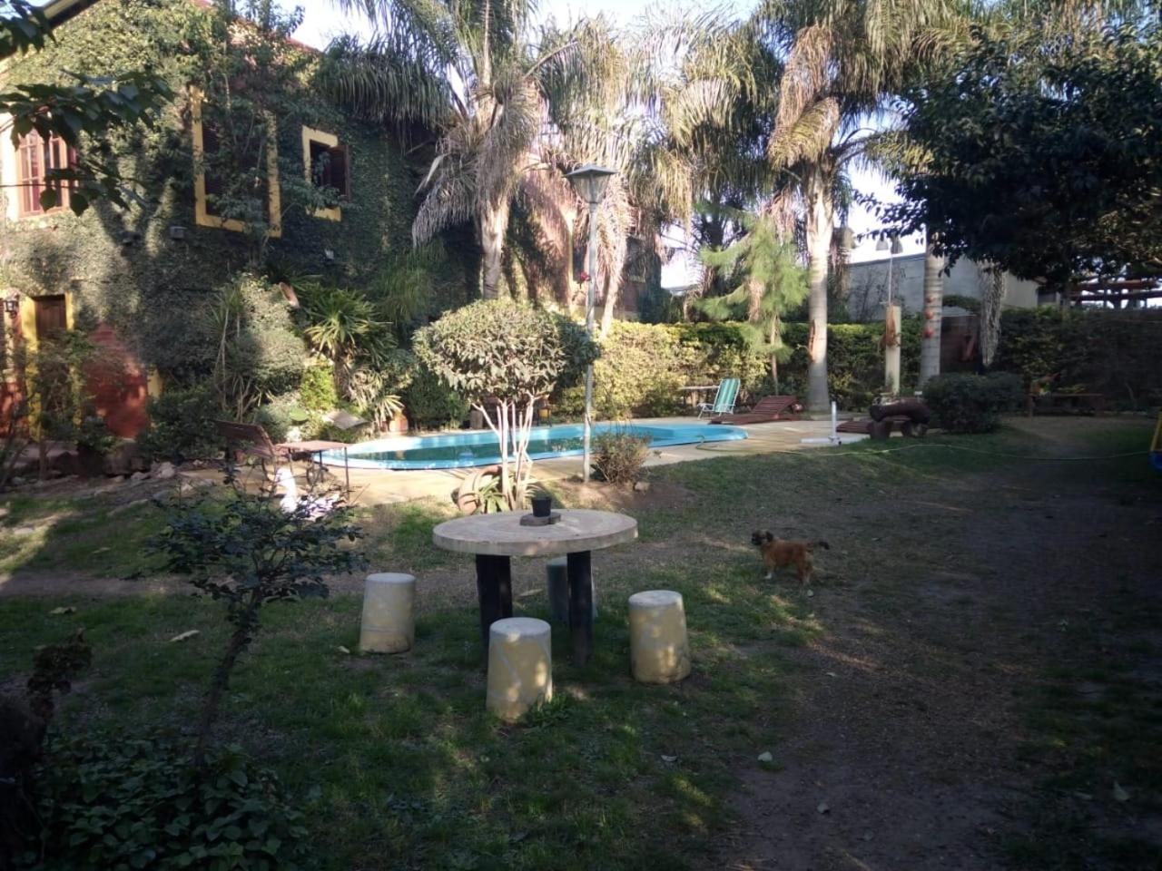 Las Casuarinas II