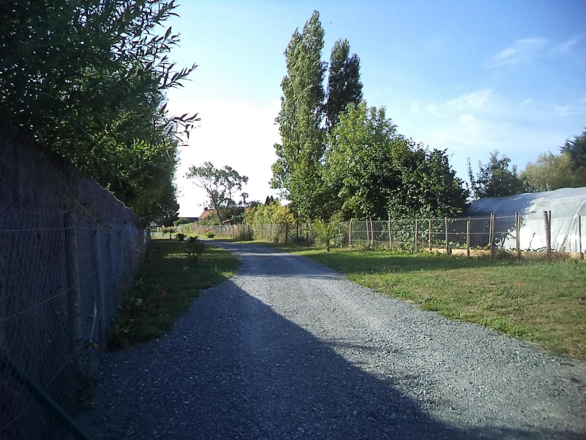 Photo 14