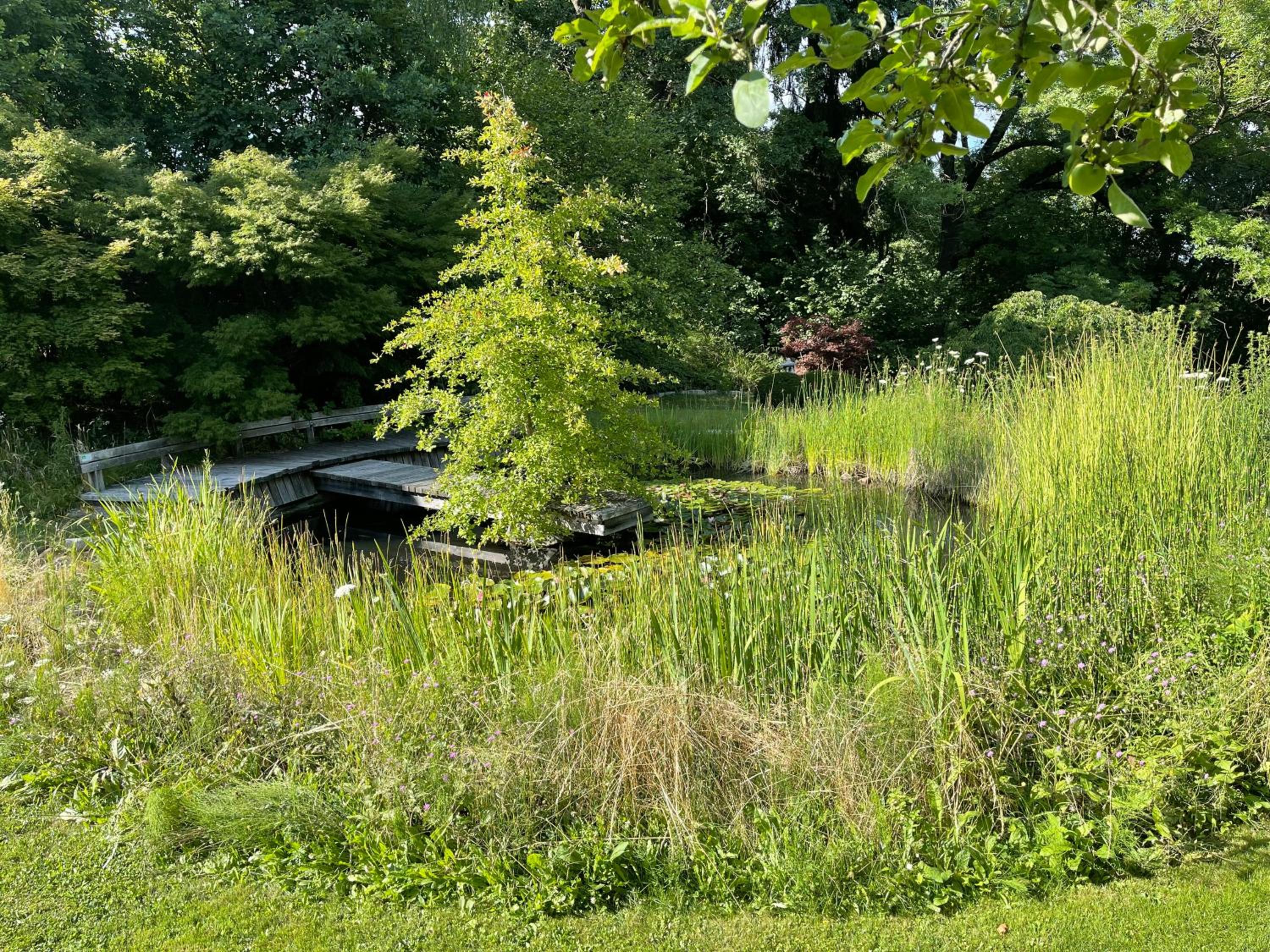 Haus Garten der Seele