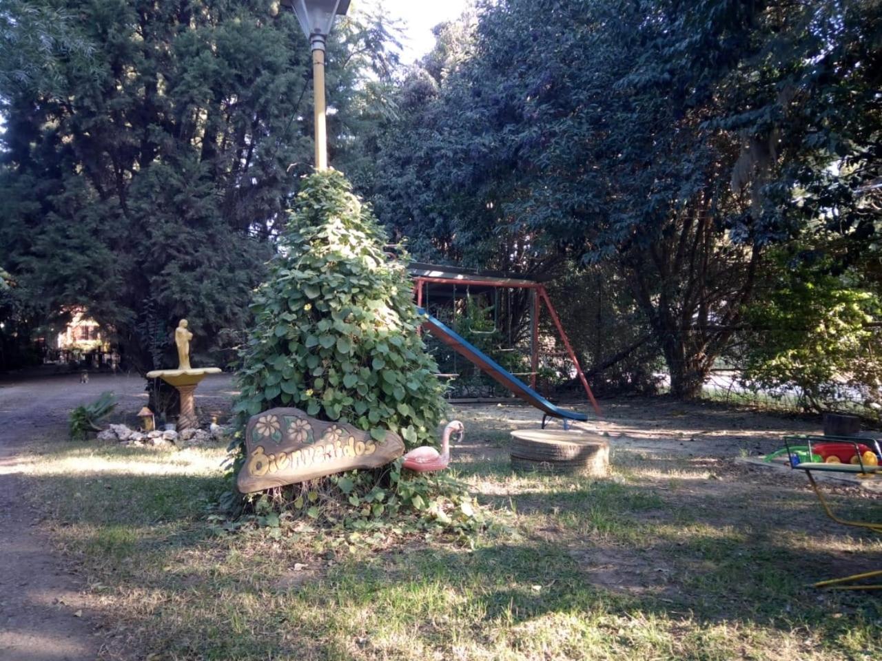 Las Casuarinas