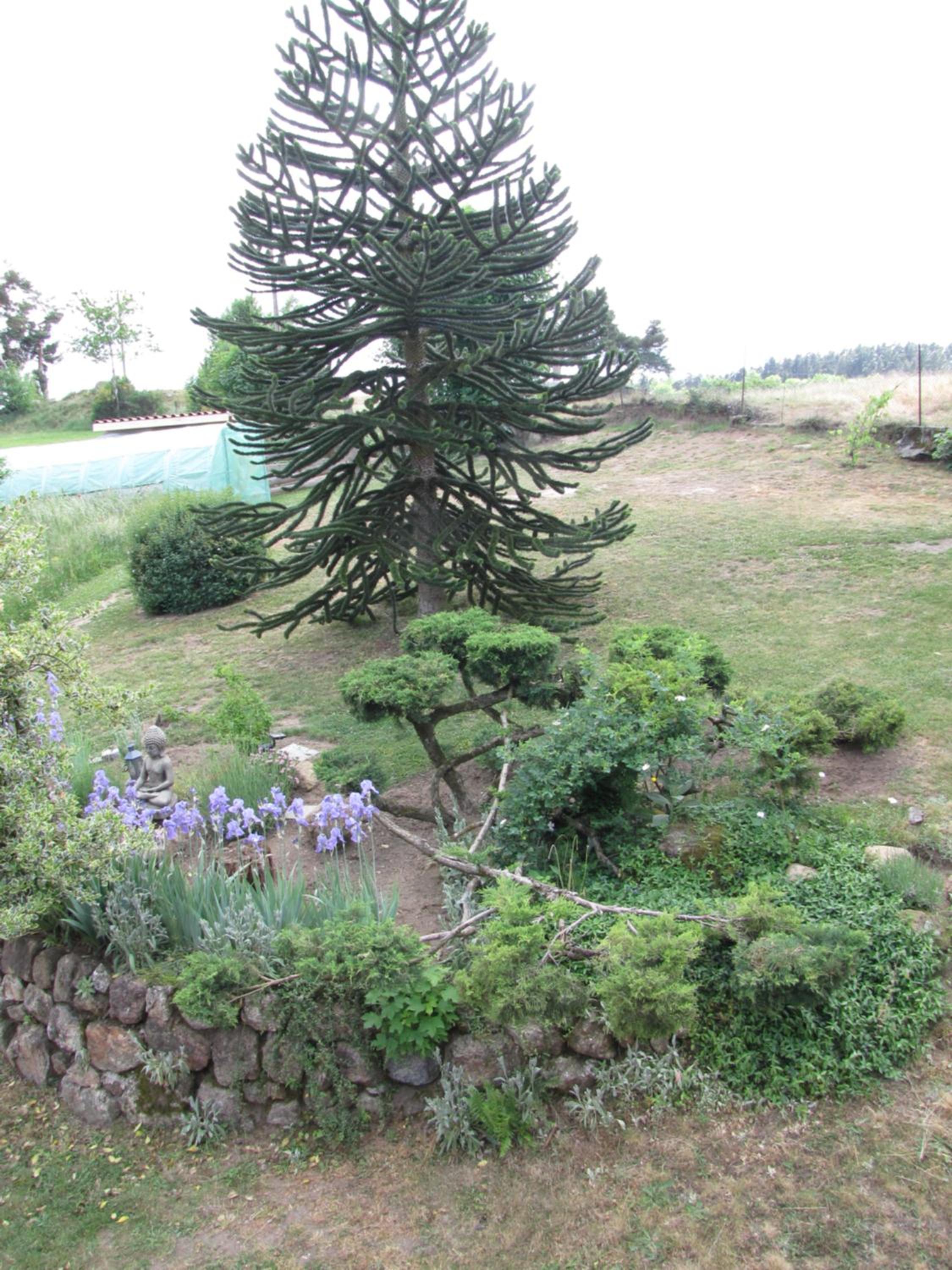 Photo 40