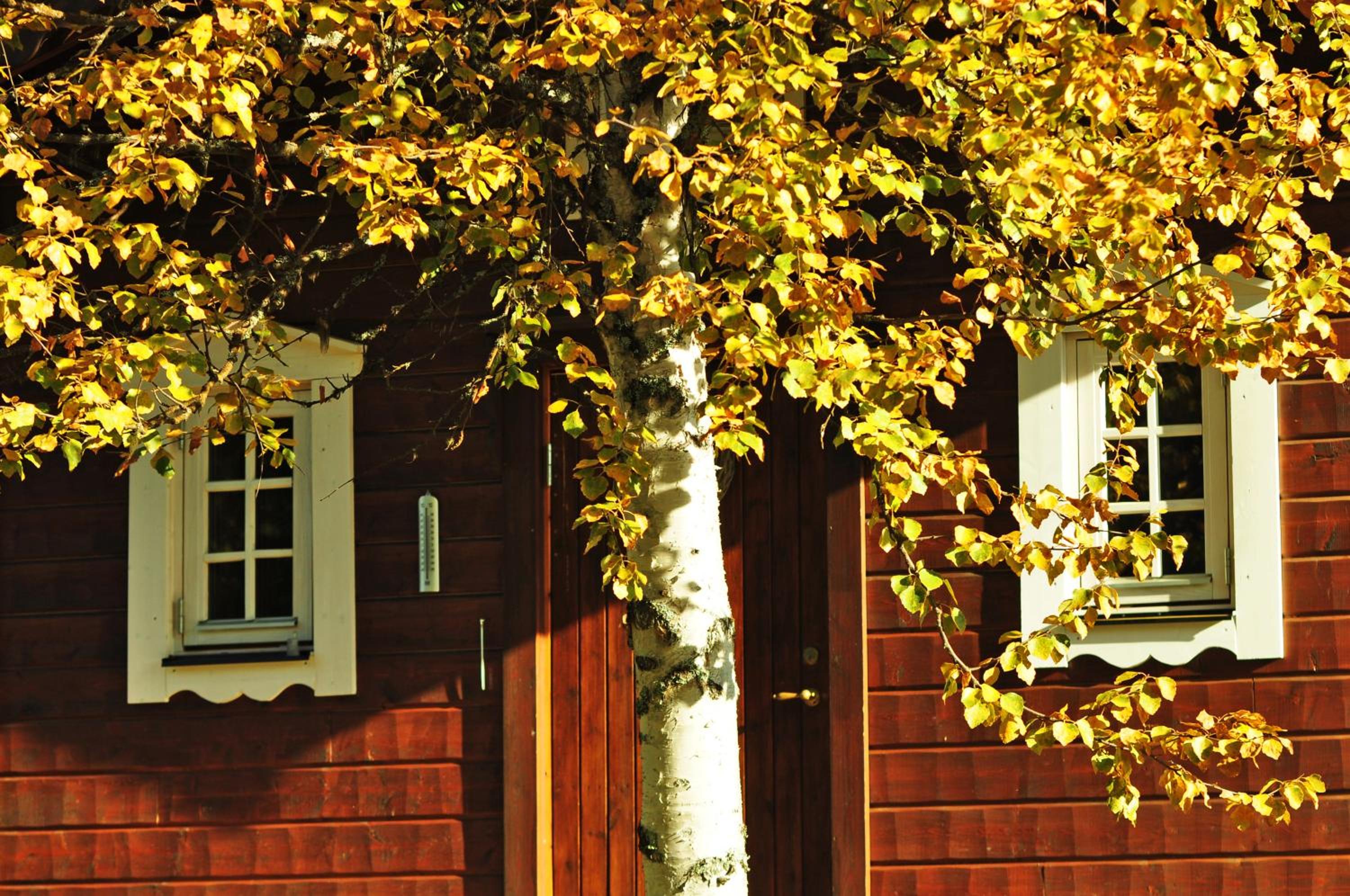 Cottage On Wild River In Lapland/Sweden