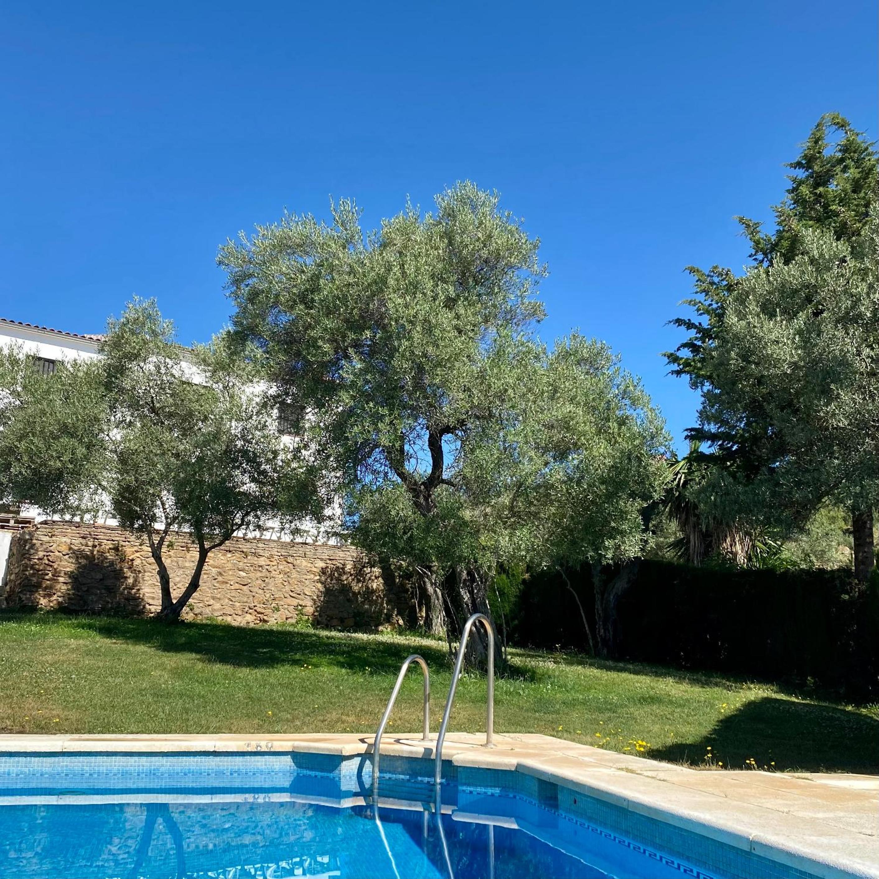 El Molino de La Quinta view 3