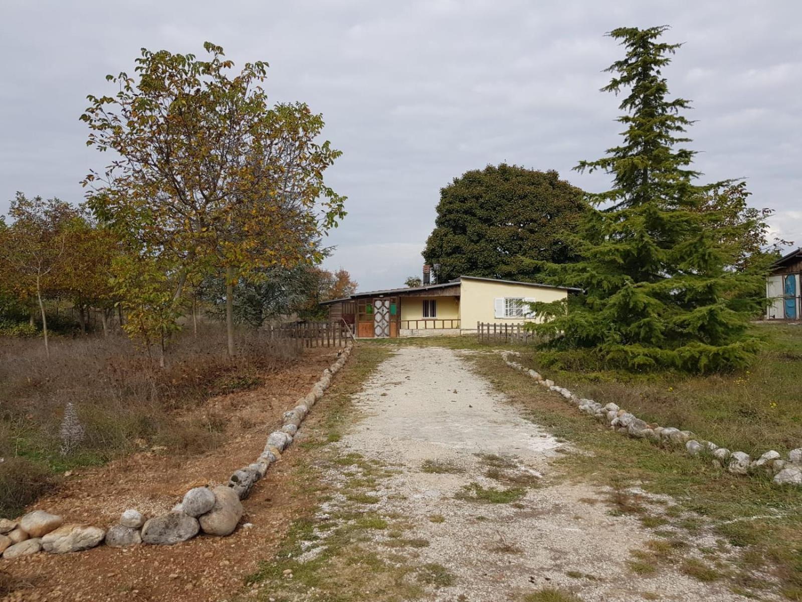 Chalet di montagna view 2
