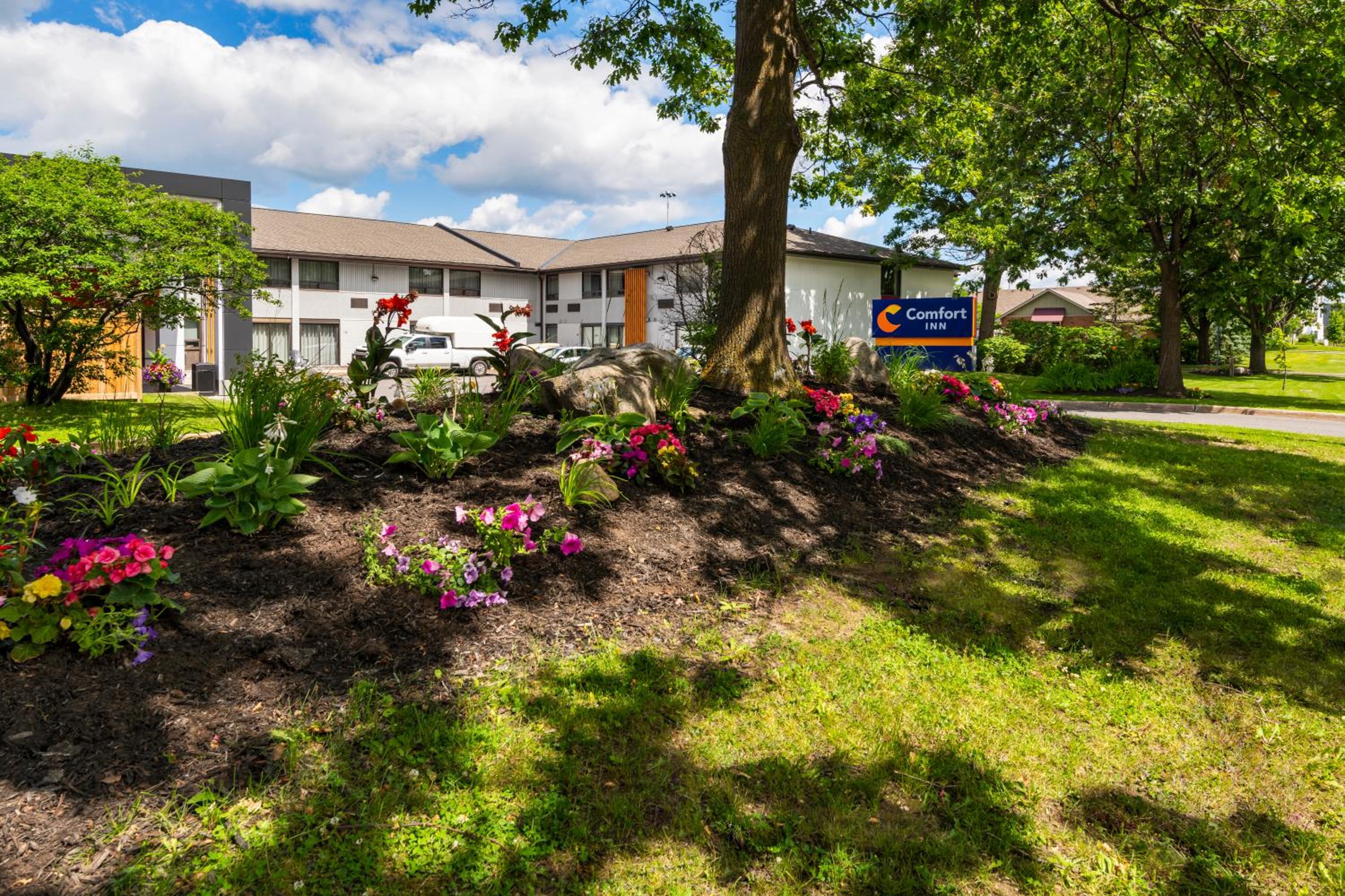 Comfort Inn West