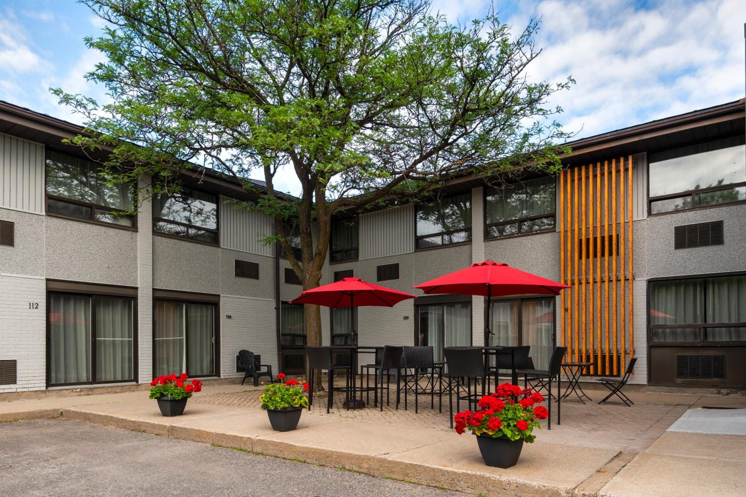 Comfort Inn West