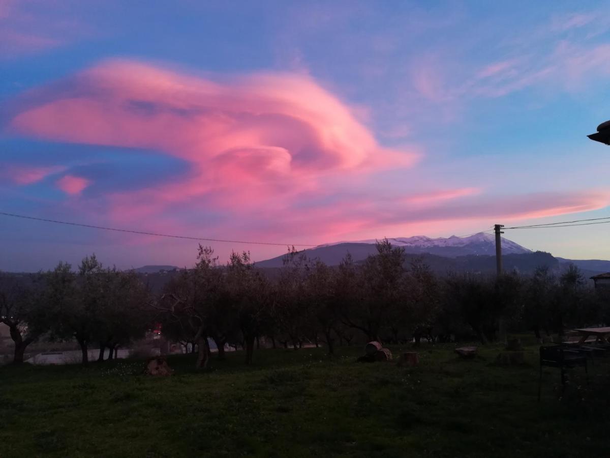 Agriturismo Le Terre d'Abruzzo Country House photo 5