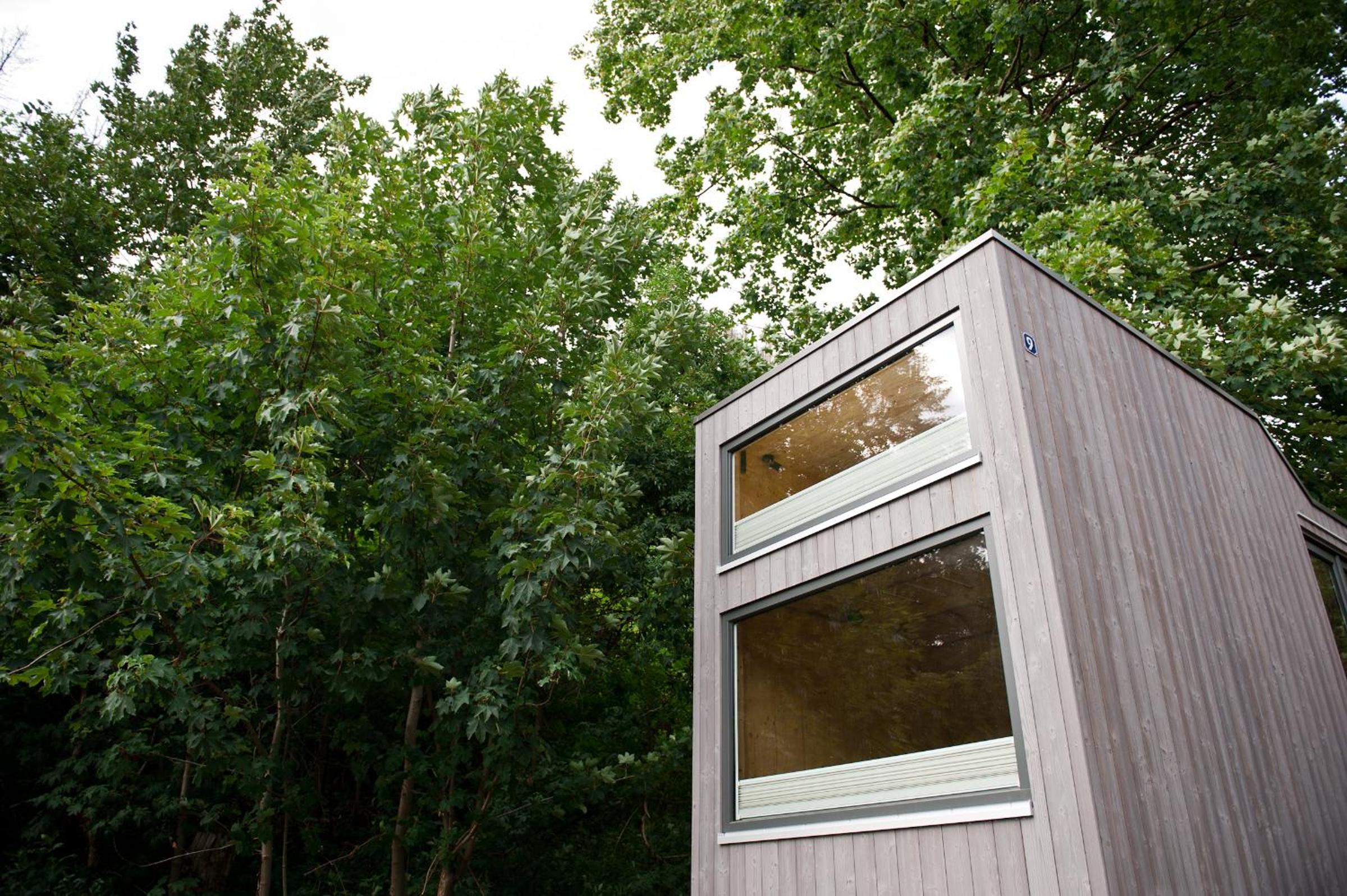 Hotel Tiny House Nature 9 - Green Tiny Village Harz - Image 1