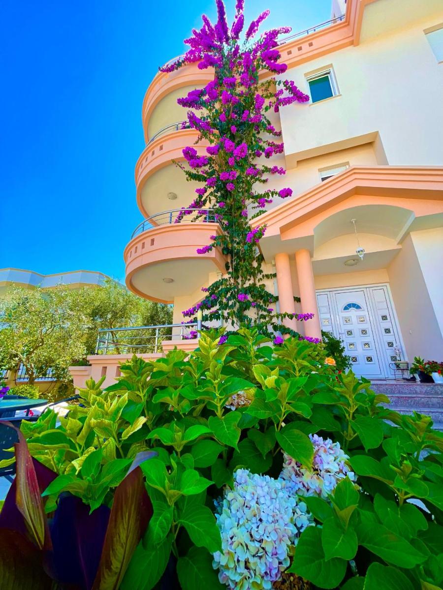 Apartments Dielli photo 3