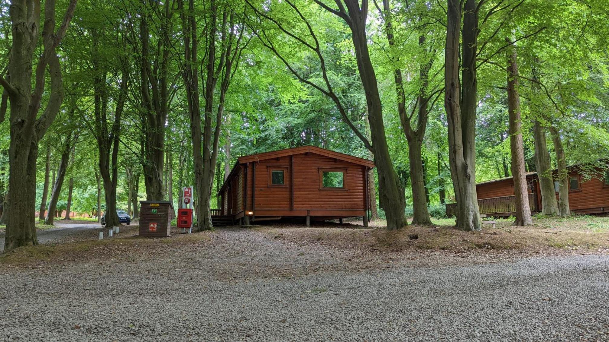 Bamboo Retreat