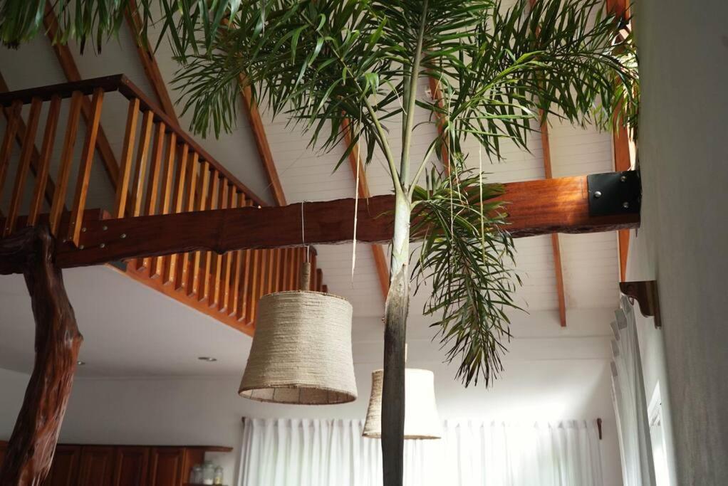 Casa Moes