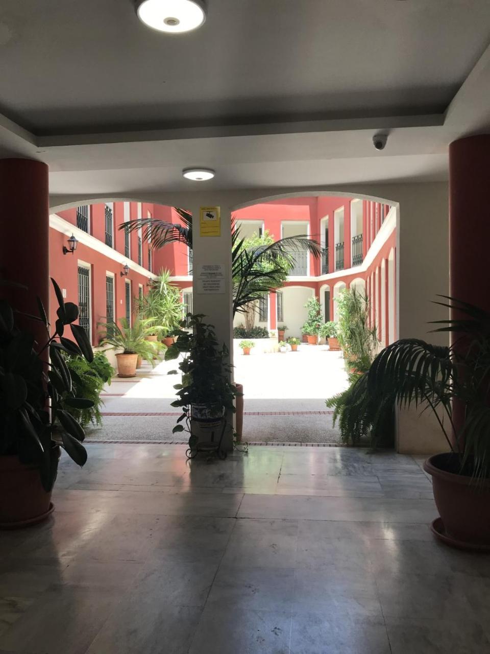 Conde de Ibarra