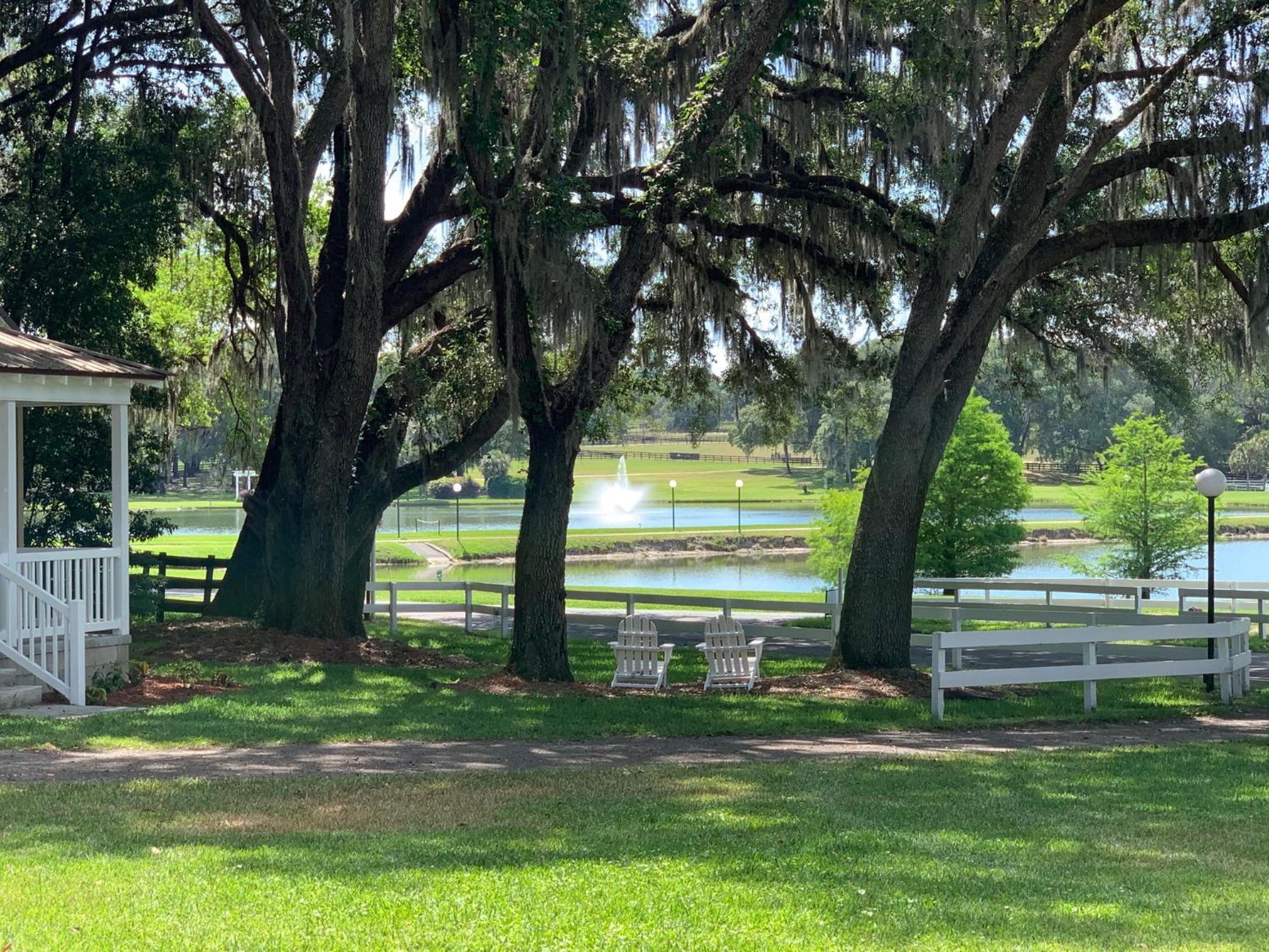 The Grand Oaks Resort view 3