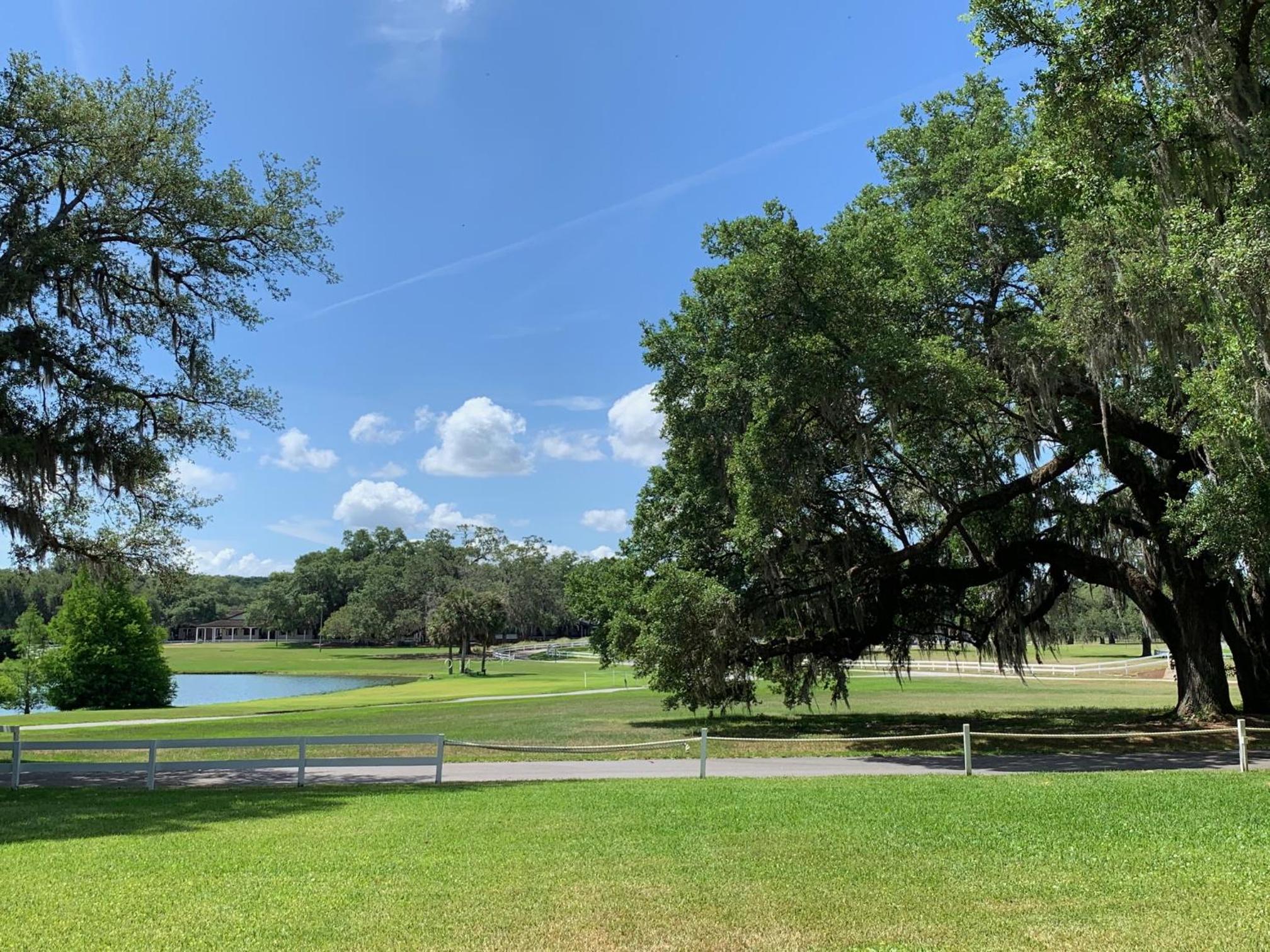 The Grand Oaks Resort view 4