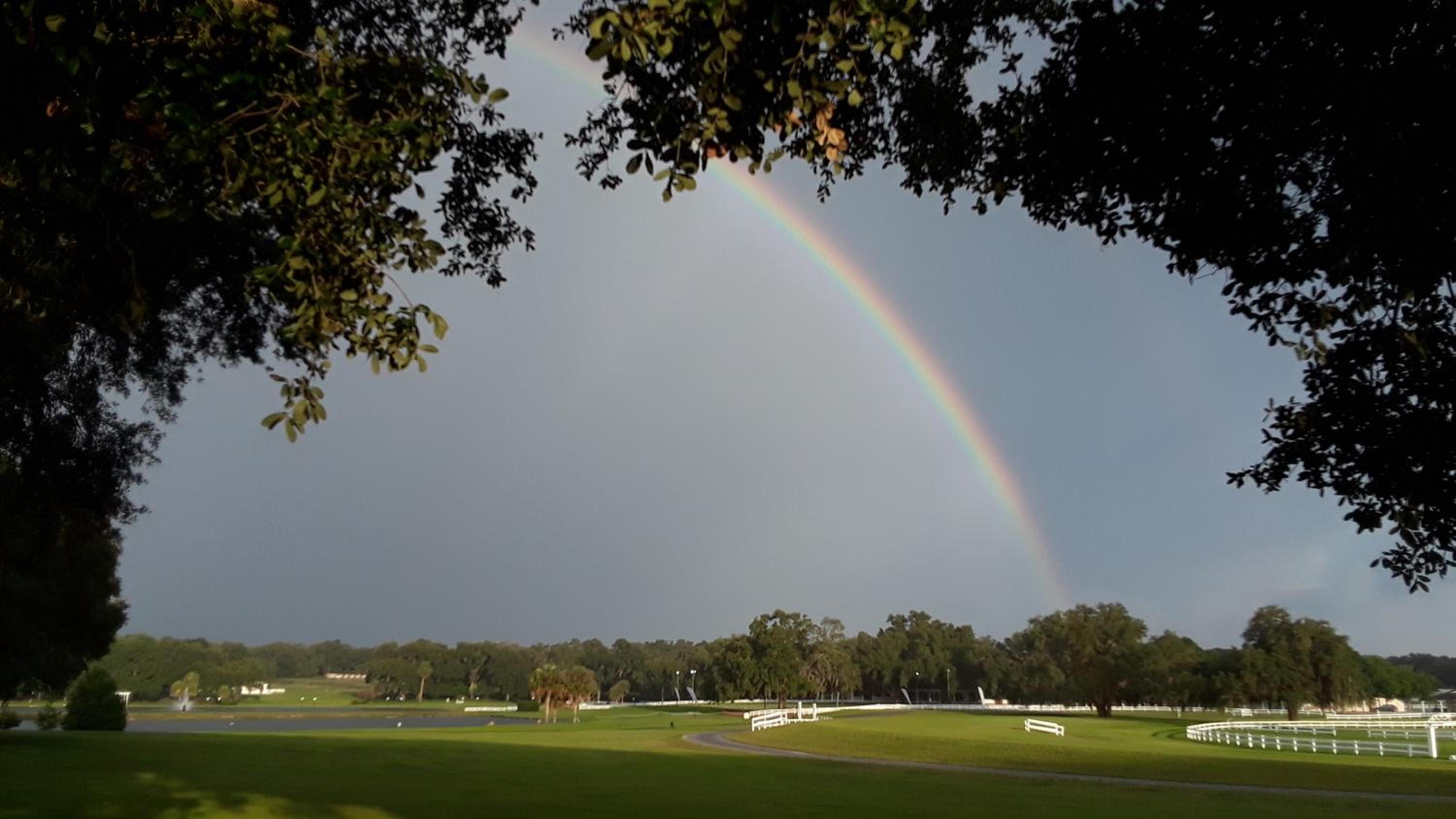 The Grand Oaks Resort view 5