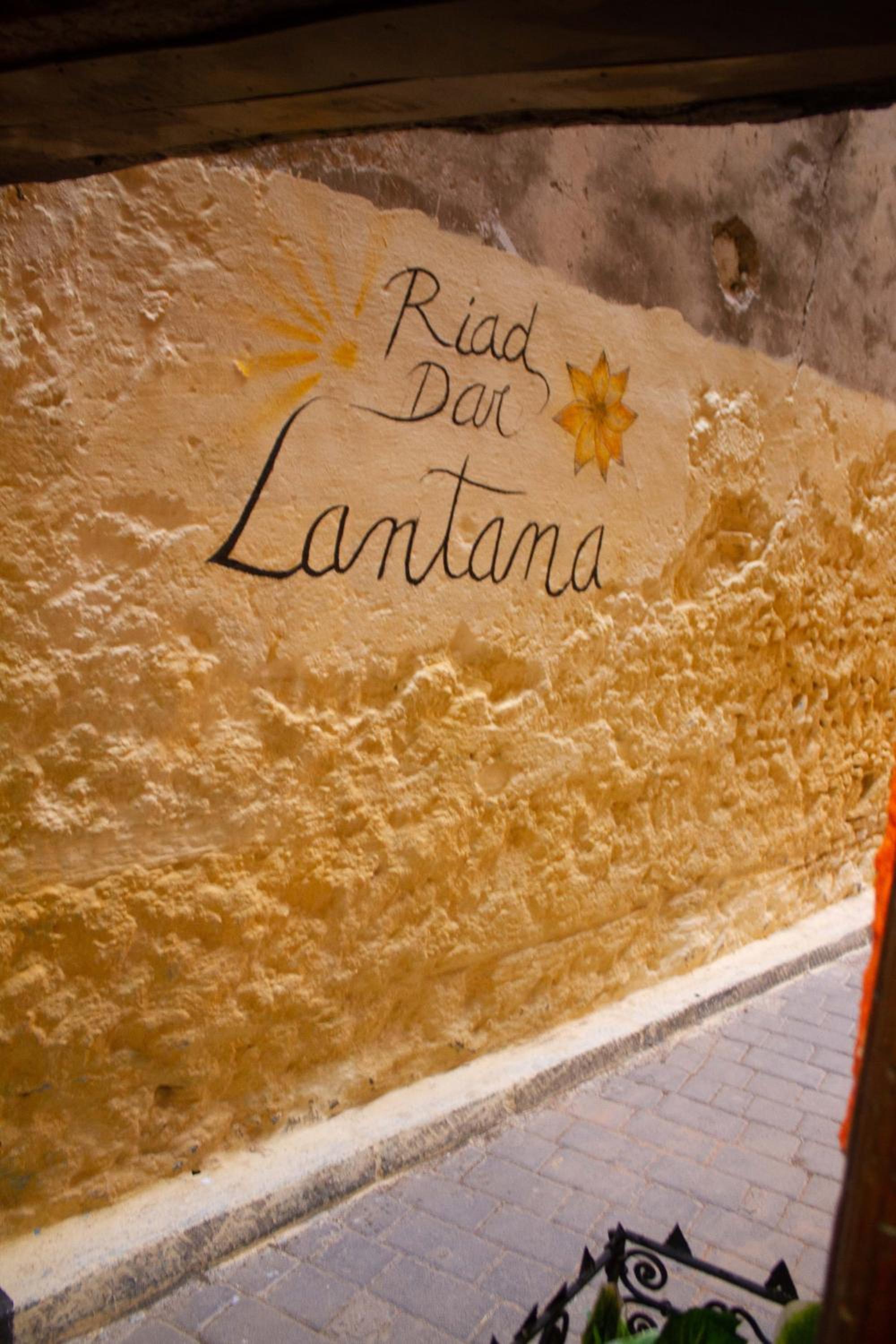 Dar Lantana