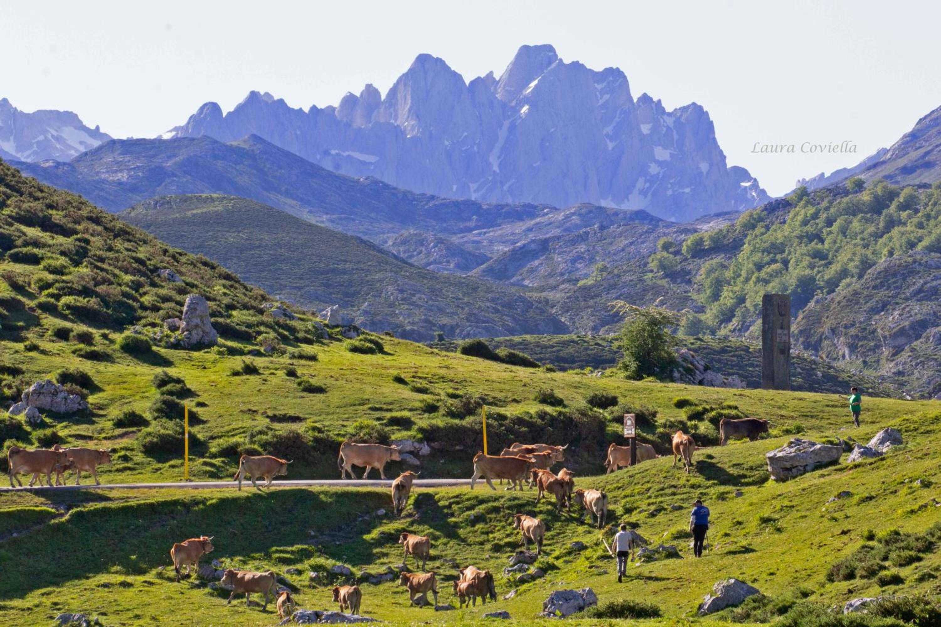 Los Campos Vivienda Vacacional