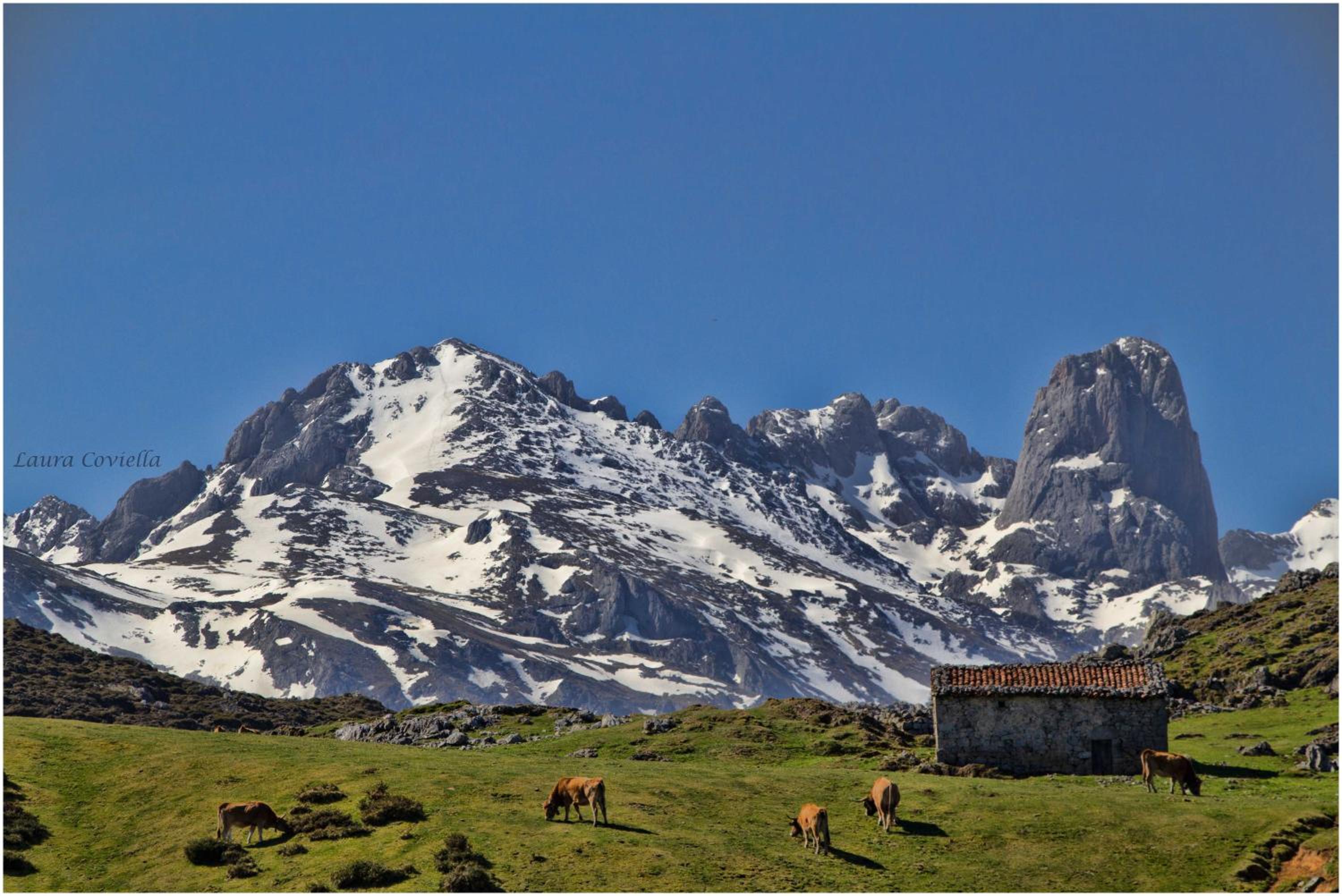 Los Campos Vivienda Vacacional