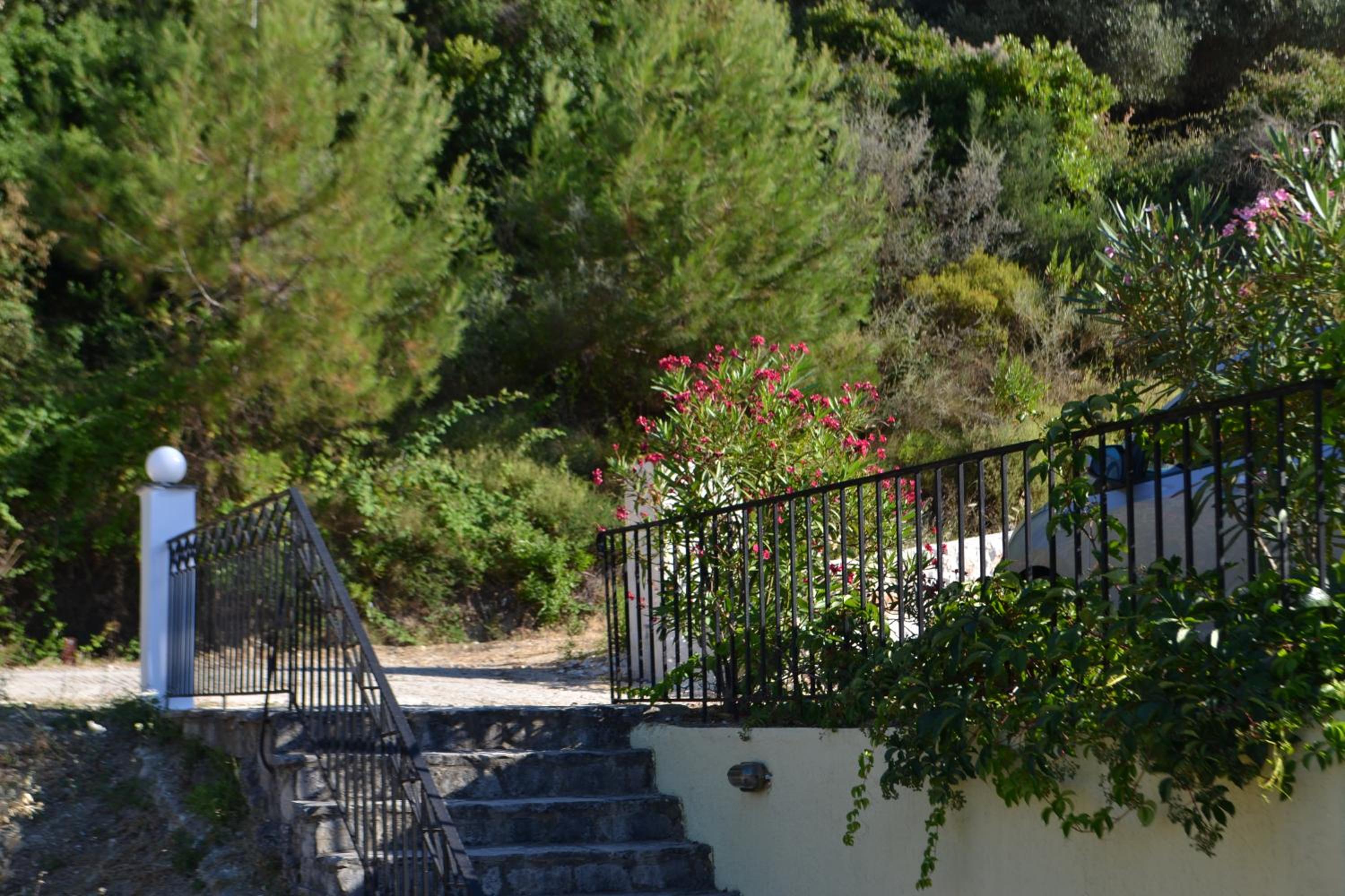 Giannatos Studios- Isabella photo 5