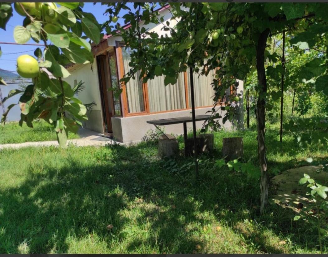 Family Guest House Marso view 5