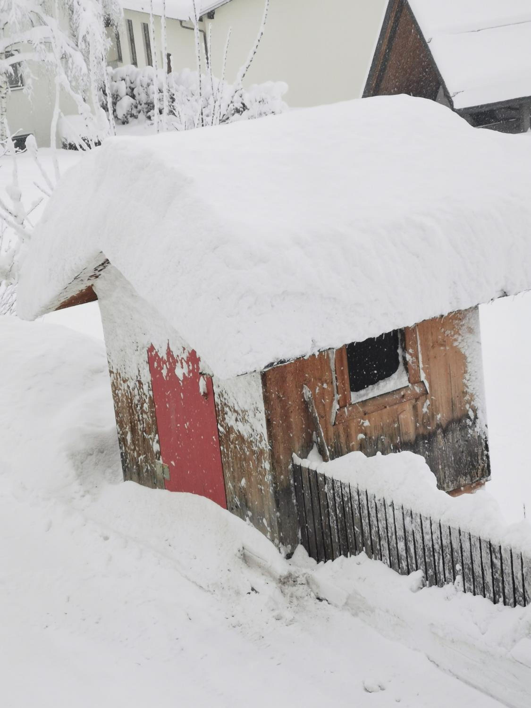 Haus Knoll